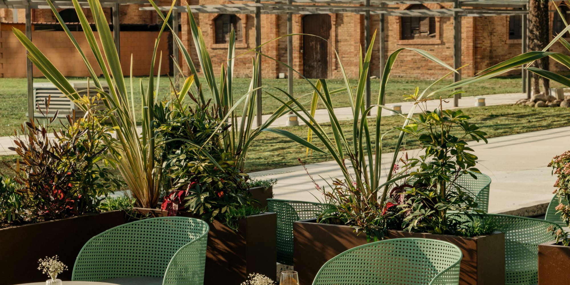 Desayuno en terraza moderna con sillas verdes y edificio de ladrillo.