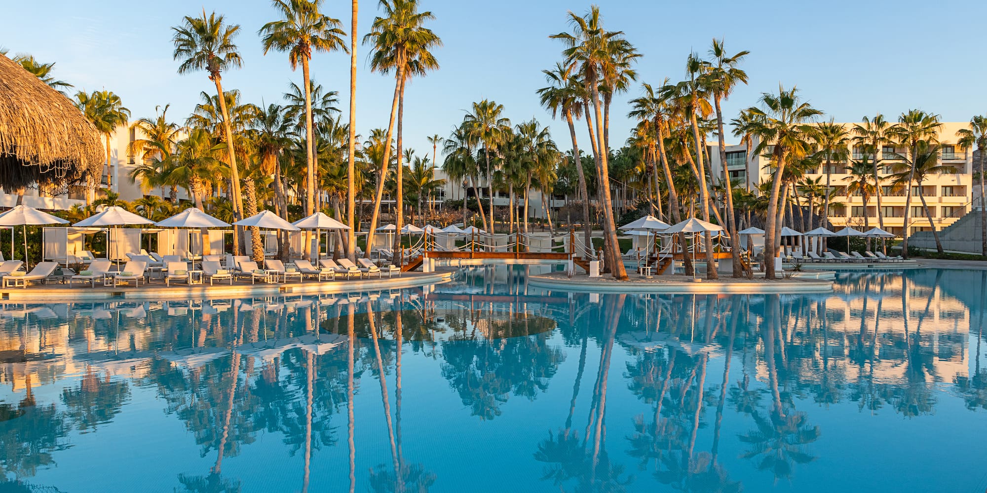a pool with palm trees and a building