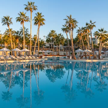 a pool with palm trees and a building