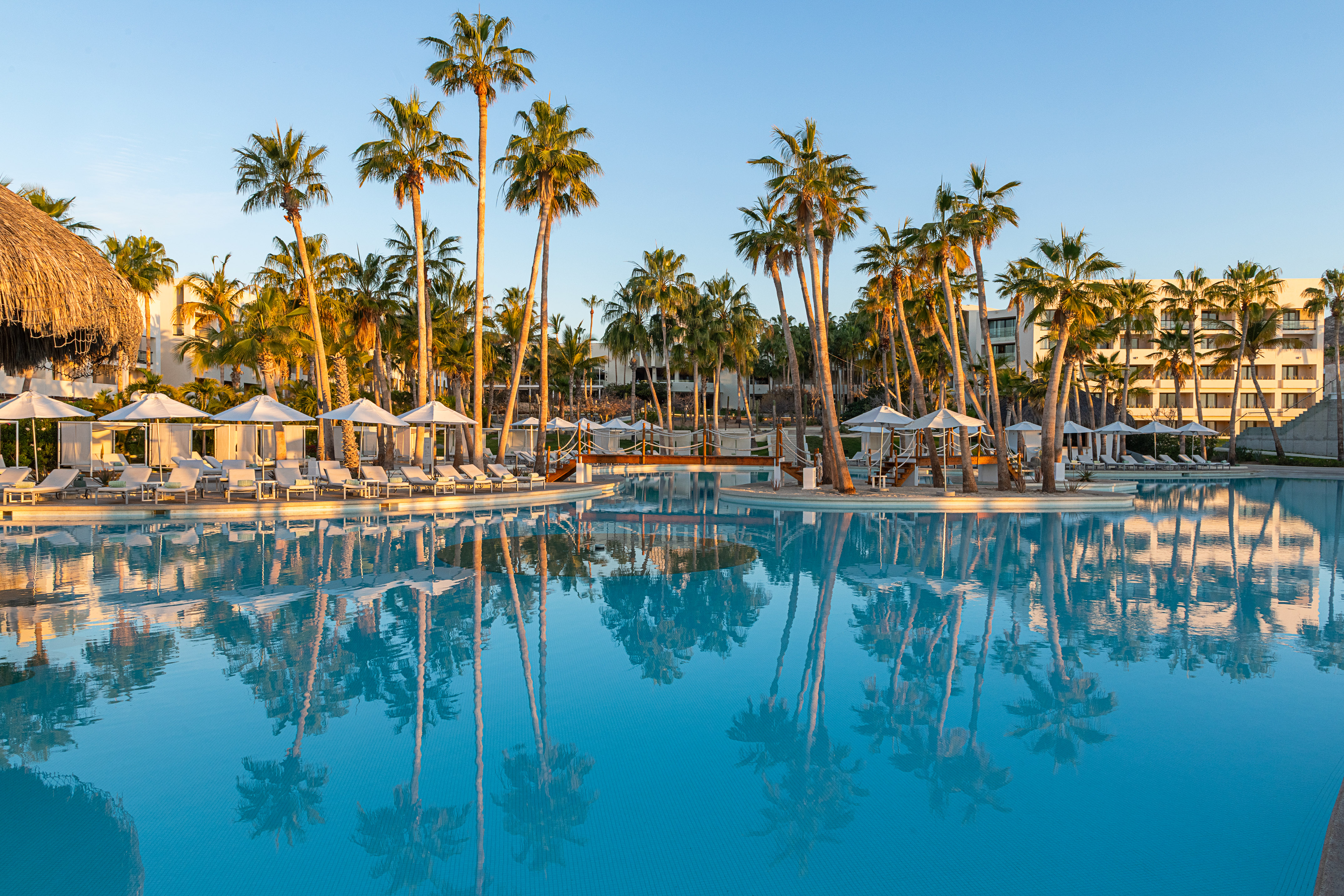 Tropical resort pool with palm trees reflecting in clear blue water.