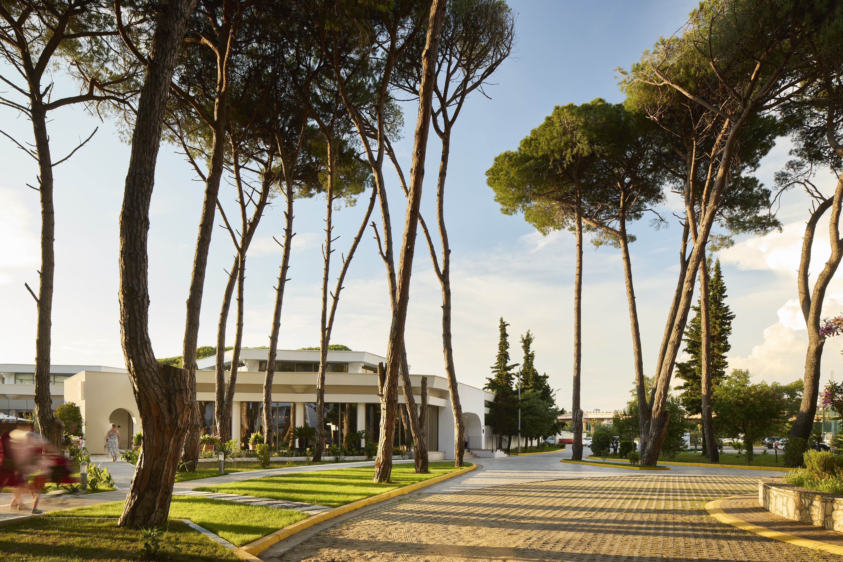 Sunny resort entrance with tall pine trees, paved driveway, and modern building.
