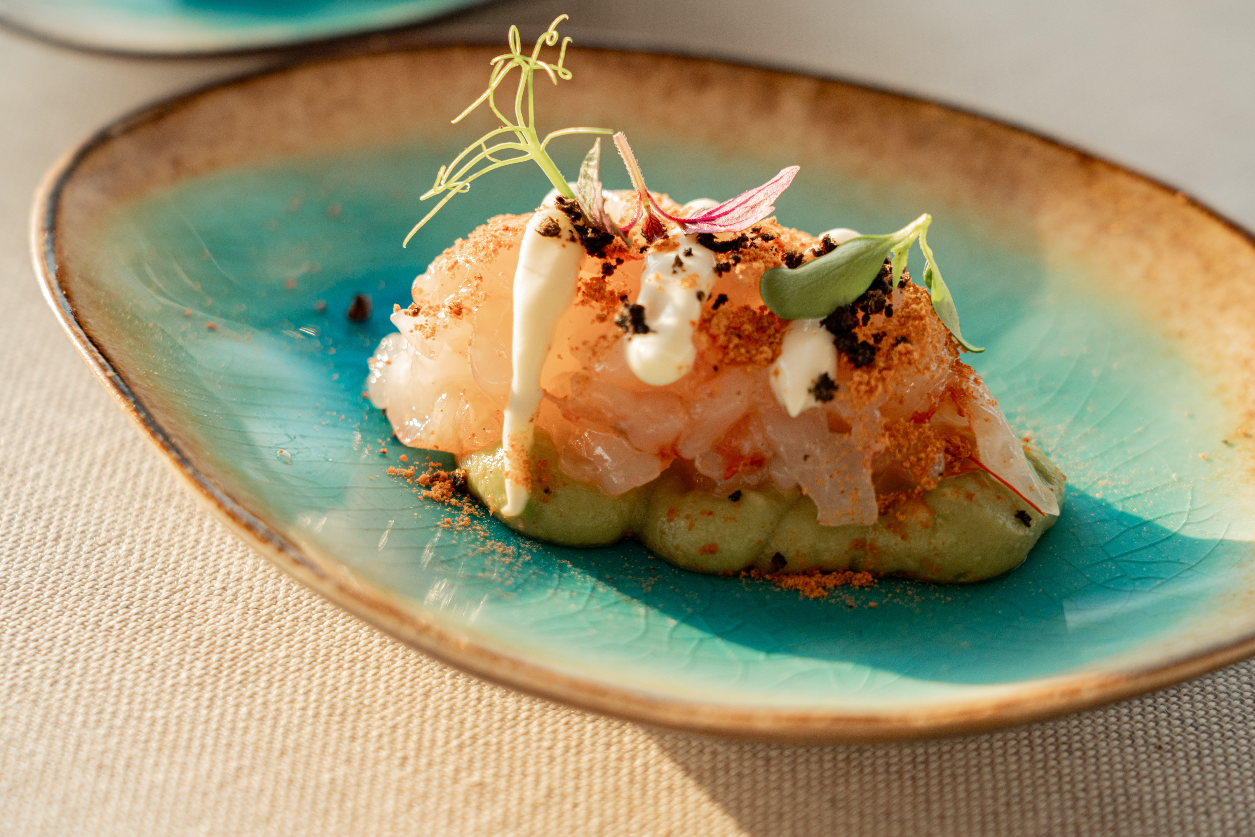 Gourmet fish ceviche on a teal plate with avocado and microgreens.