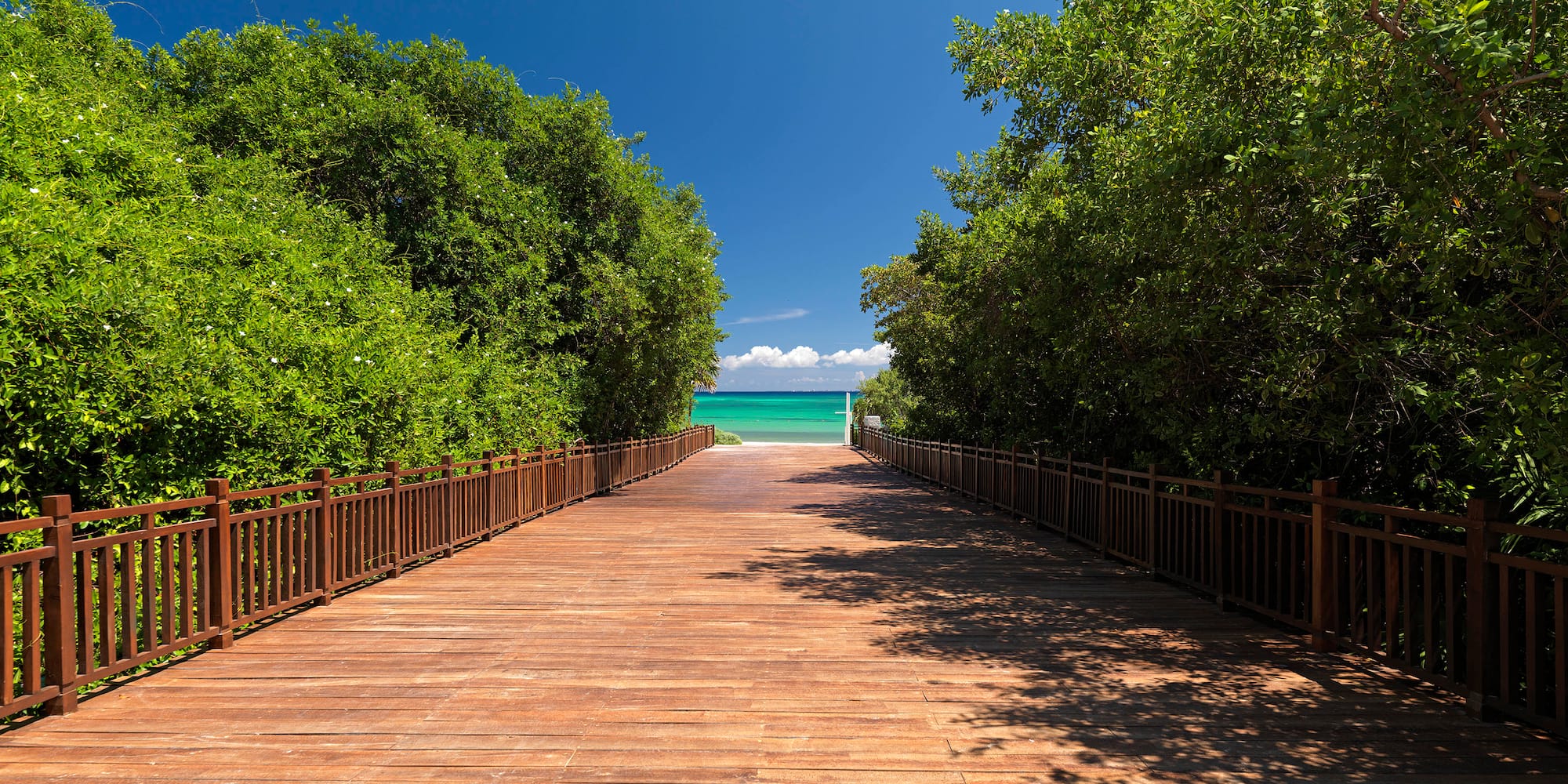 a wooden walkway with railings and trees