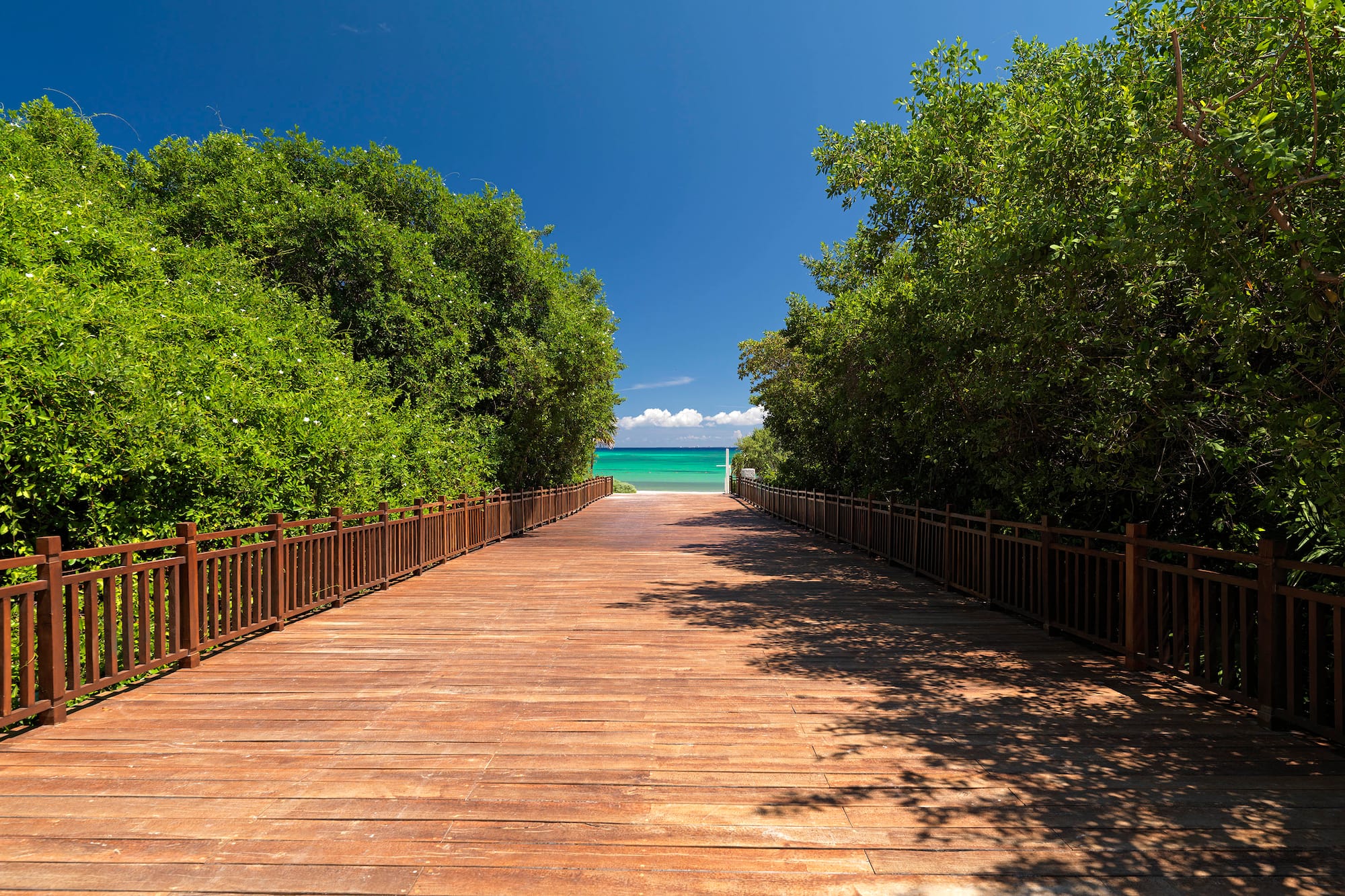 a wooden walkway with railings and trees