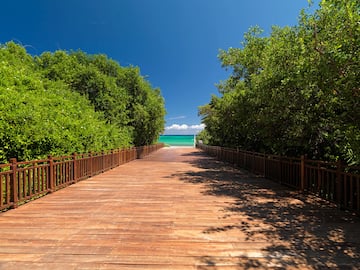 a wooden walkway with railings and trees