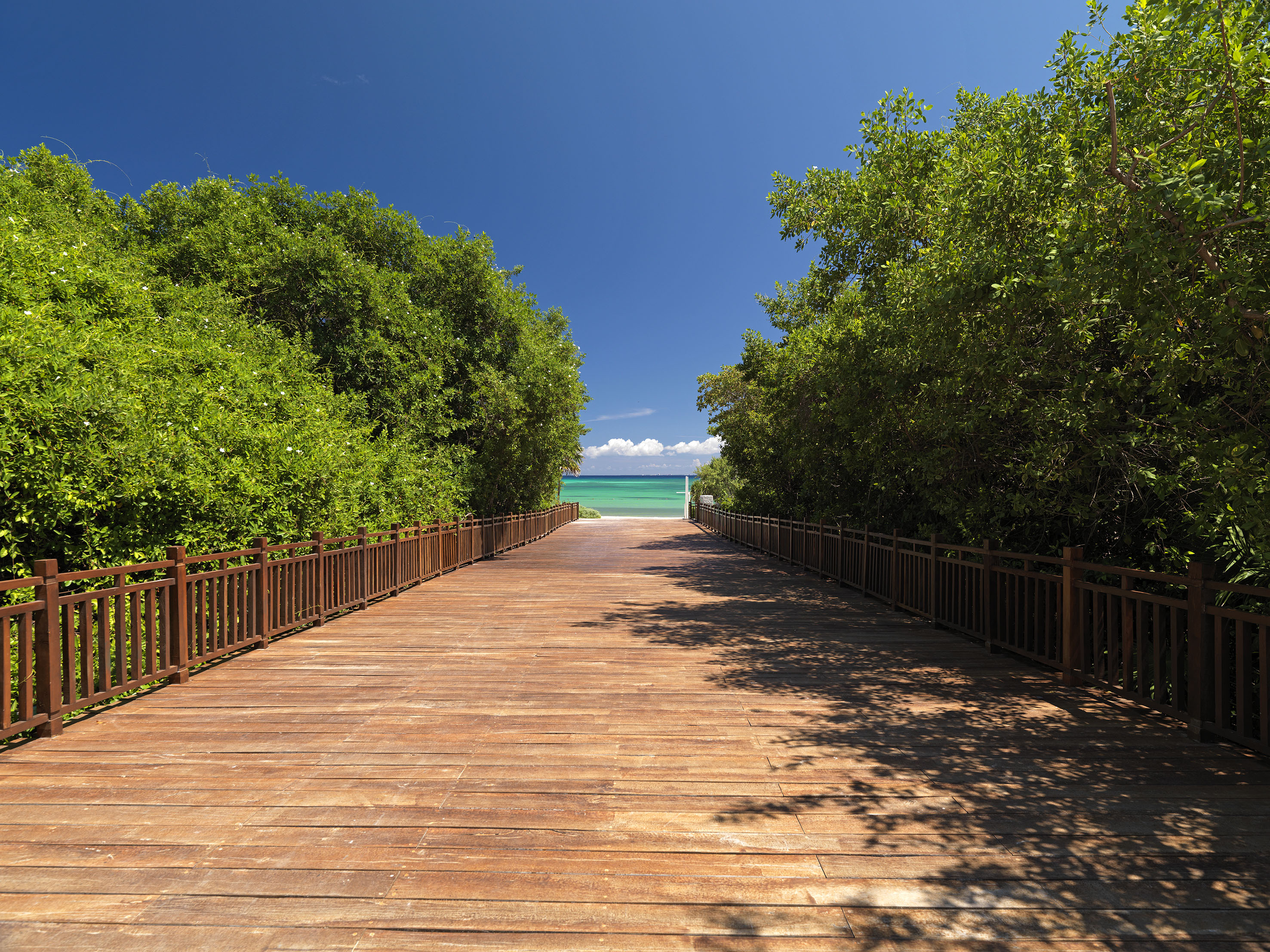a wooden walkway with railings and trees