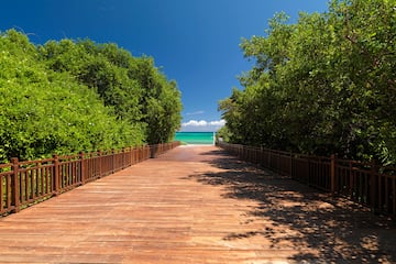 a wooden walkway with railings and trees
