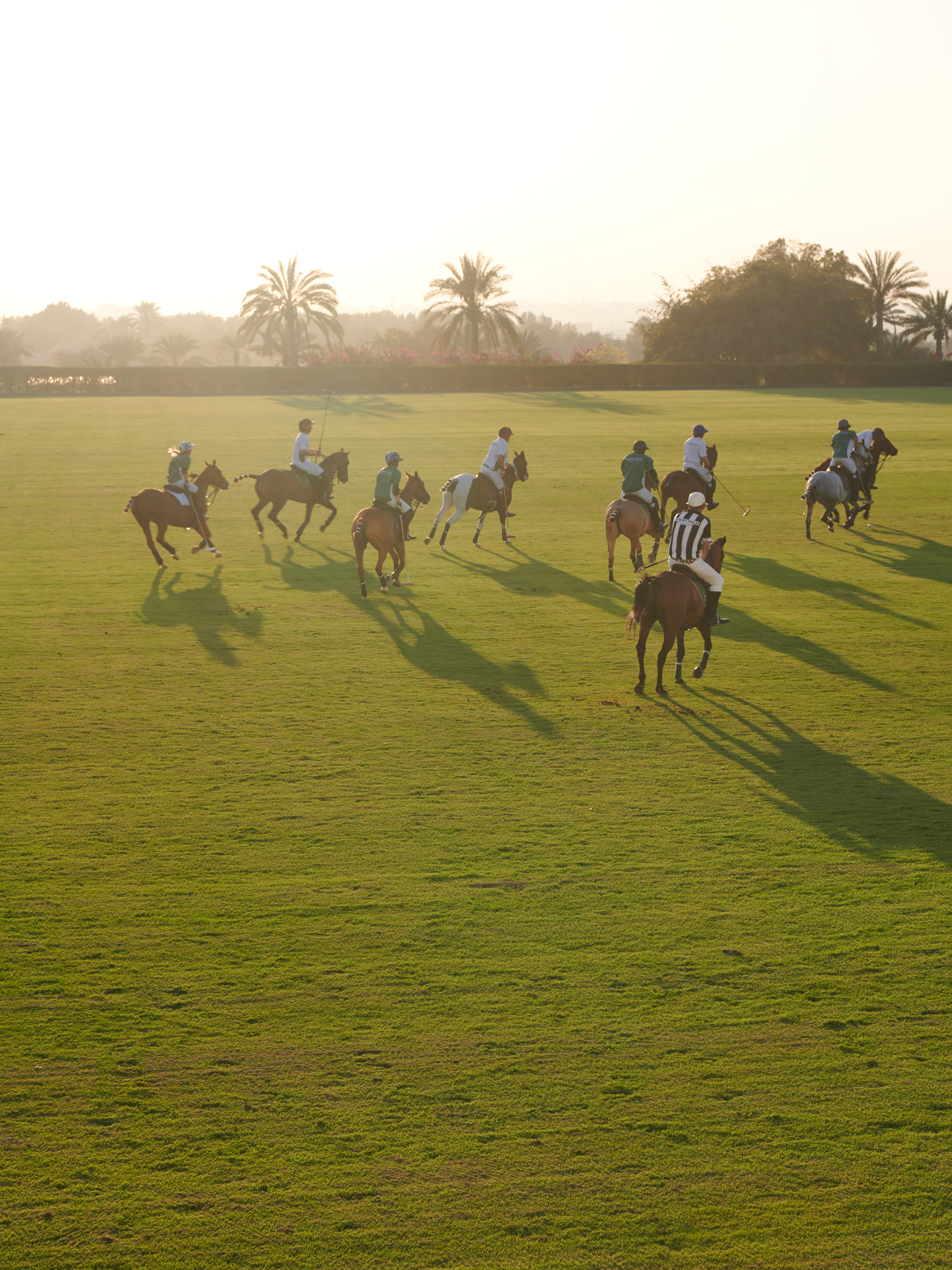 Polo players on horseback on a green field with palm trees.