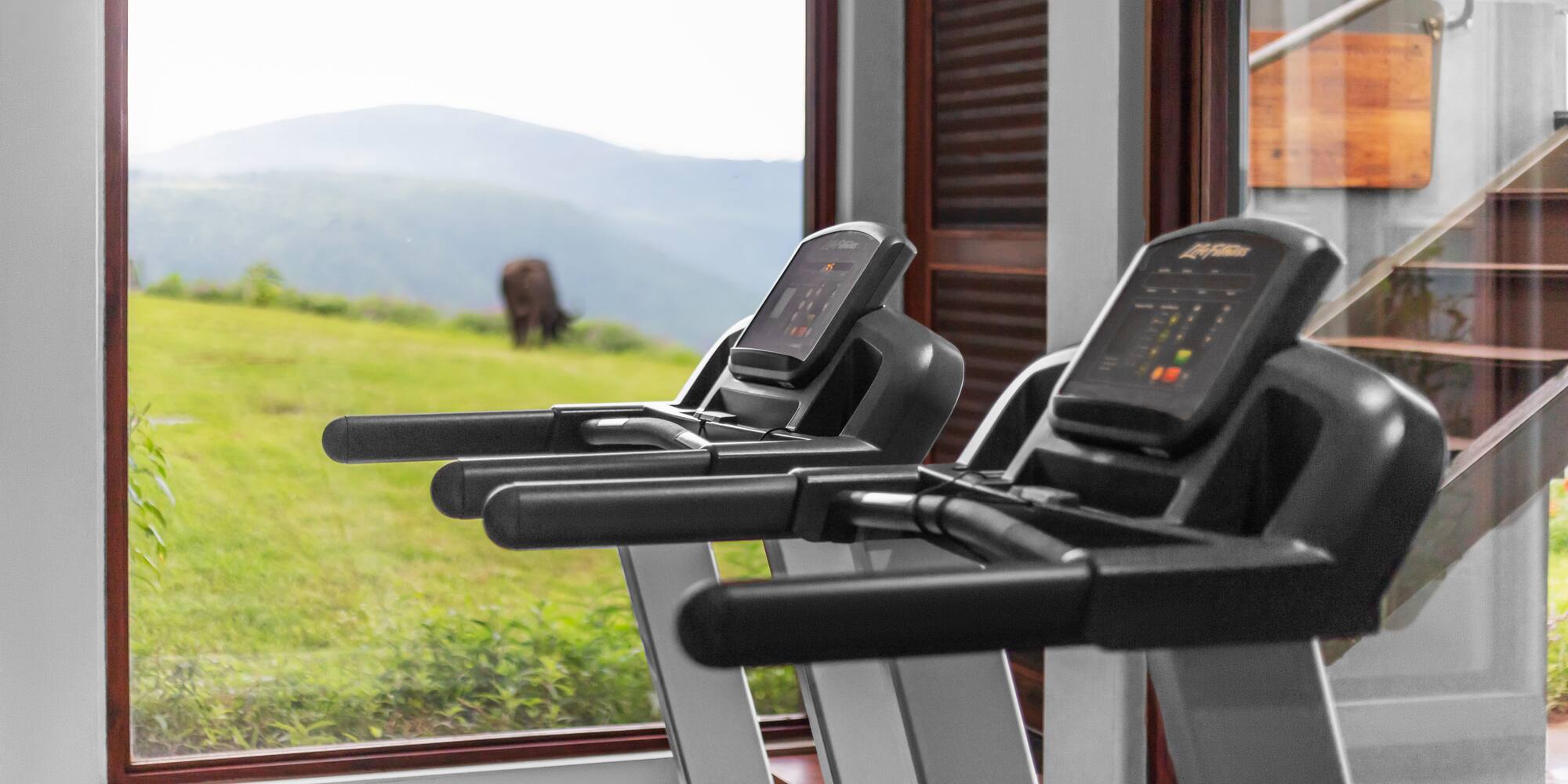 a treadmills in a room with a cow in the background