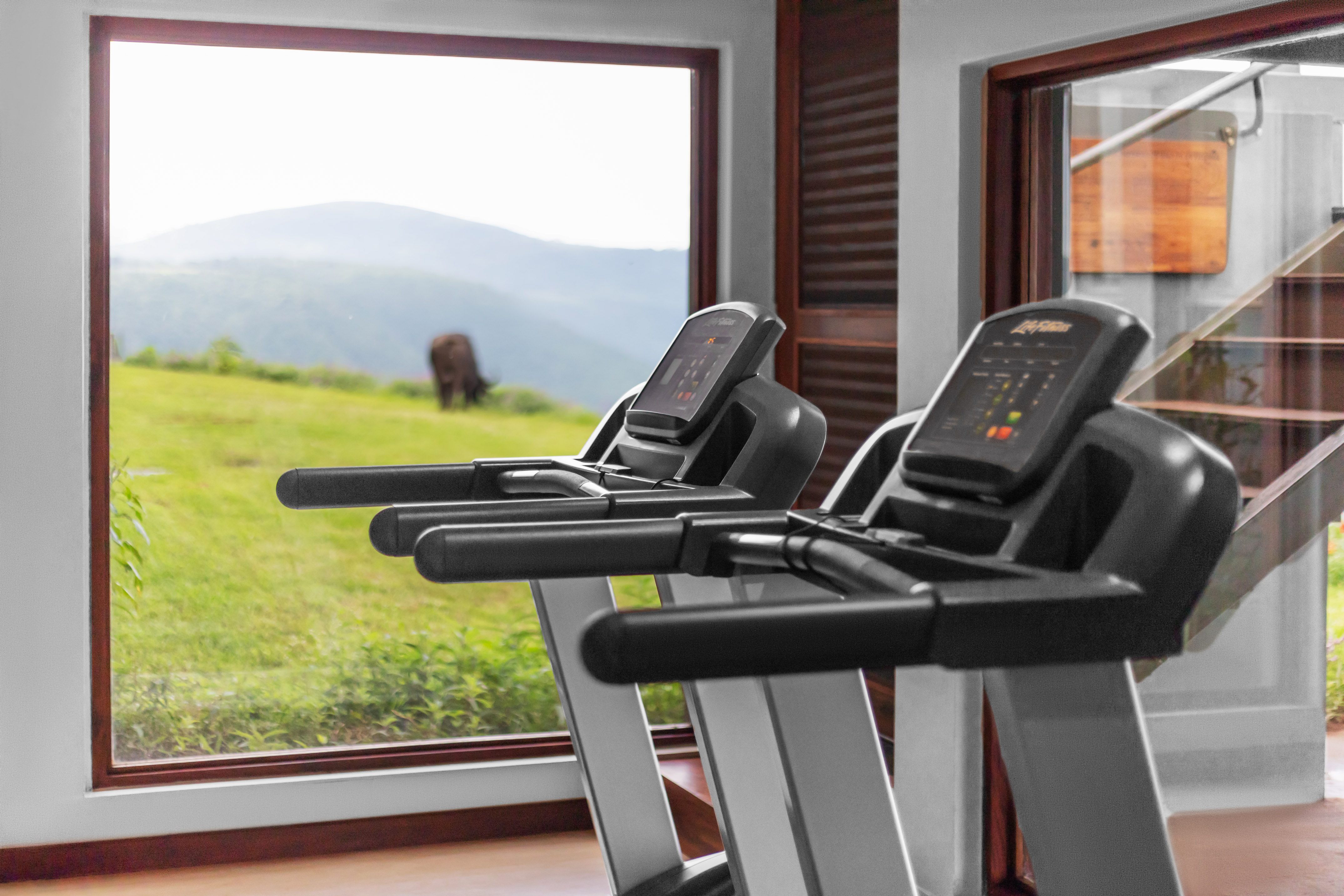 Two treadmills facing a scenic window view of mountains and a grazing animal.