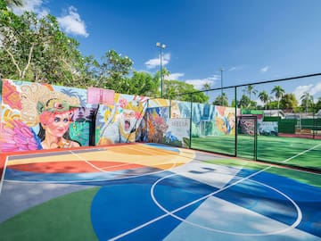 a basketball court with a painted court and a net