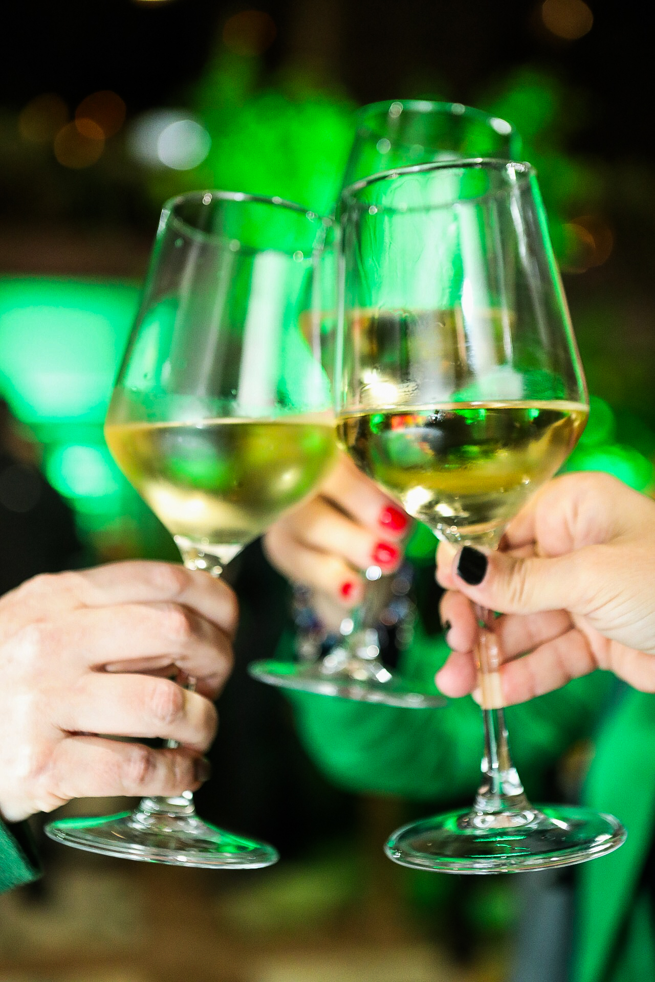 a group of people holding wine glasses