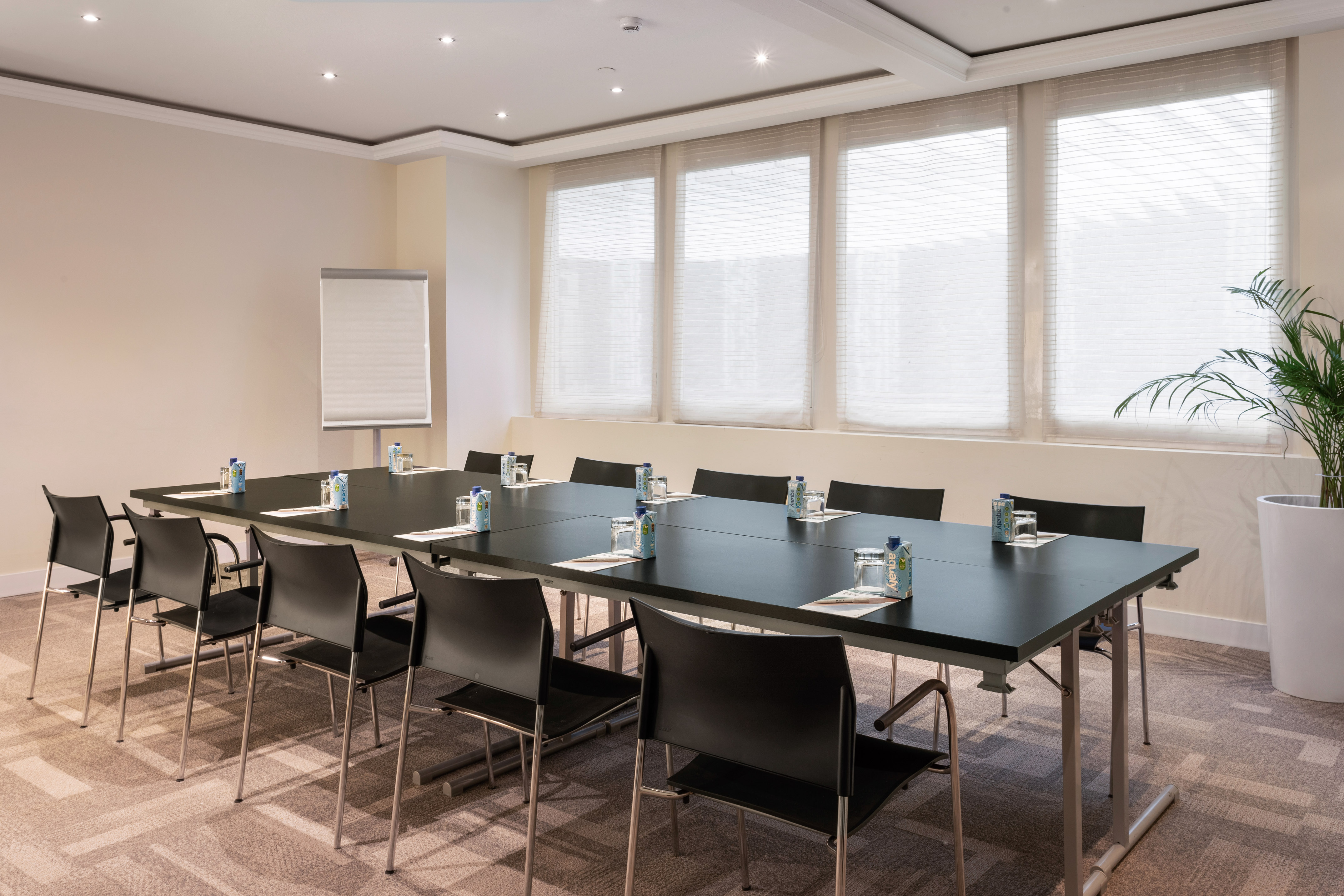 Corporate meeting room with long table, black chairs, and bright windows.
