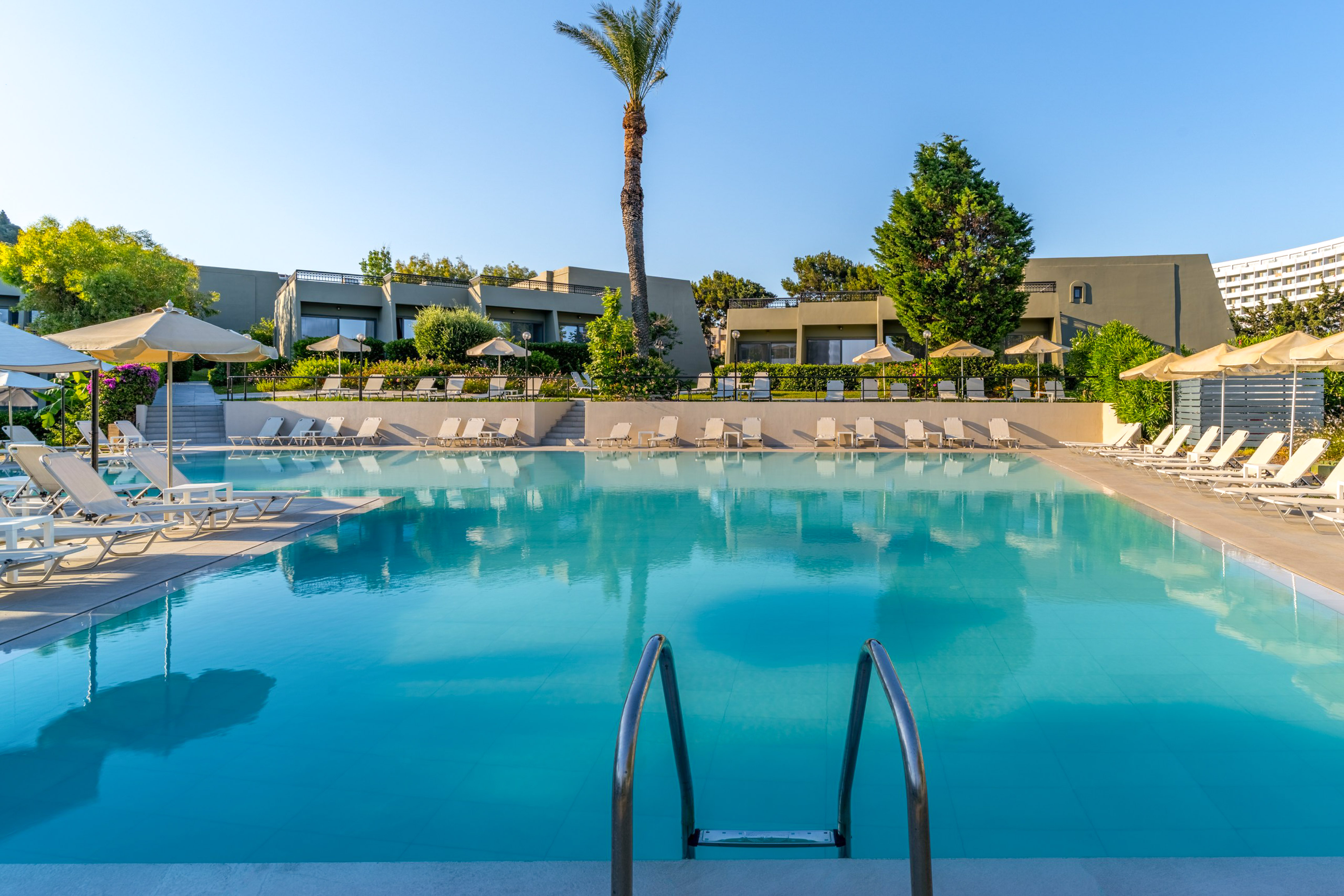 Sunny hotel resort swimming pool with loungers, umbrellas, and palm trees.