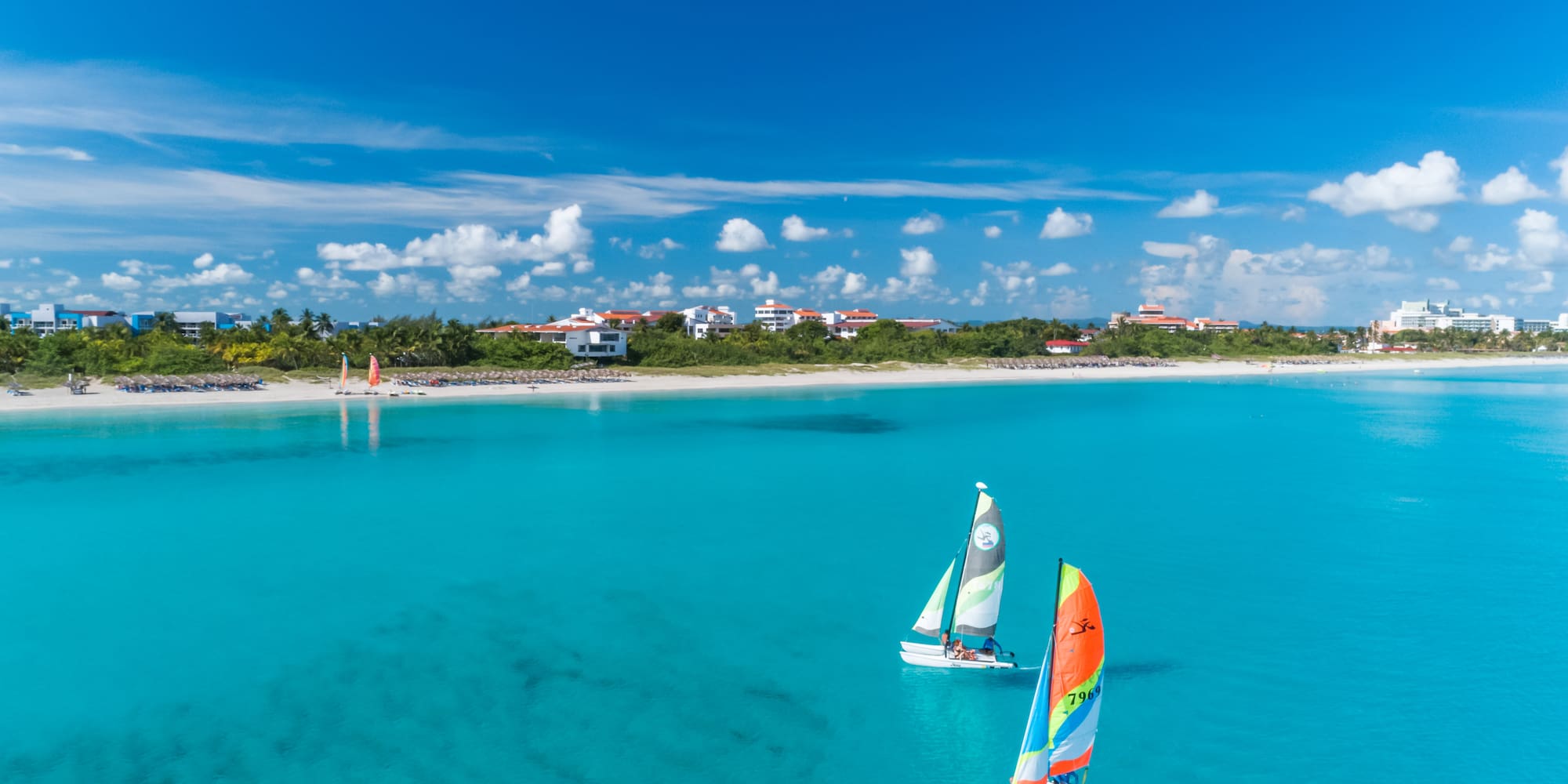 sail boats in the water