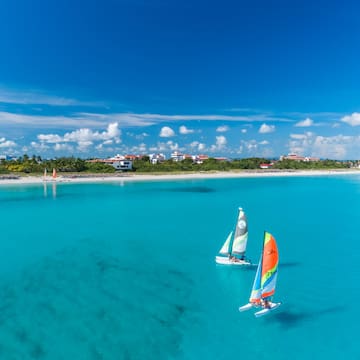 sail boats in the water