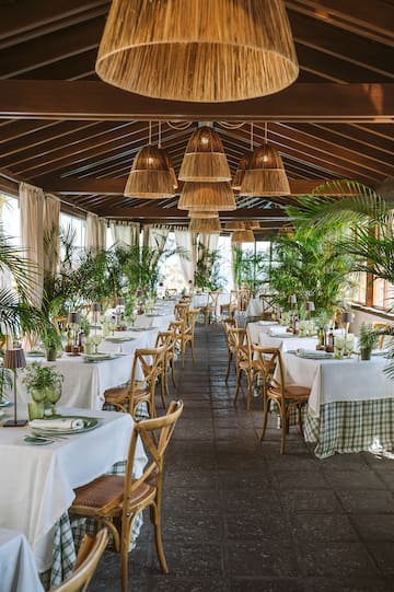 a room with tables and chairs and plants