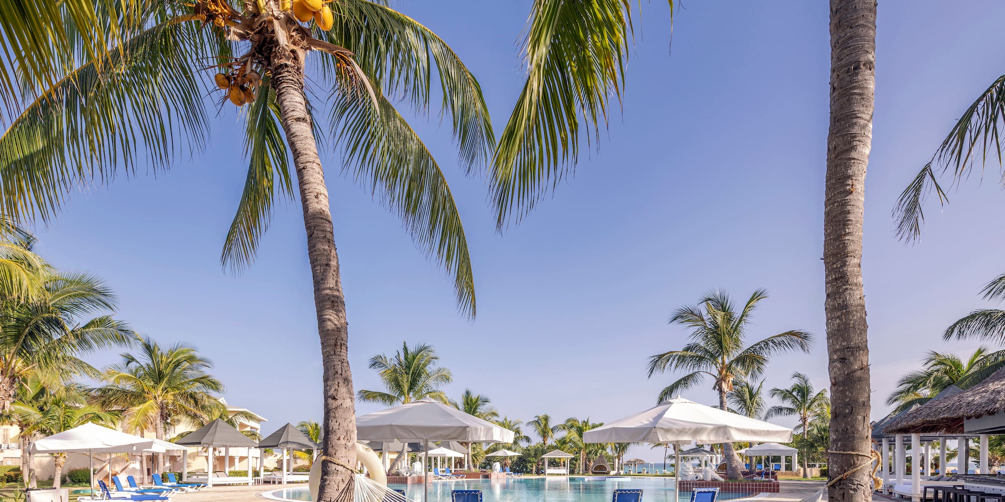 a pool with palm trees and a hammock