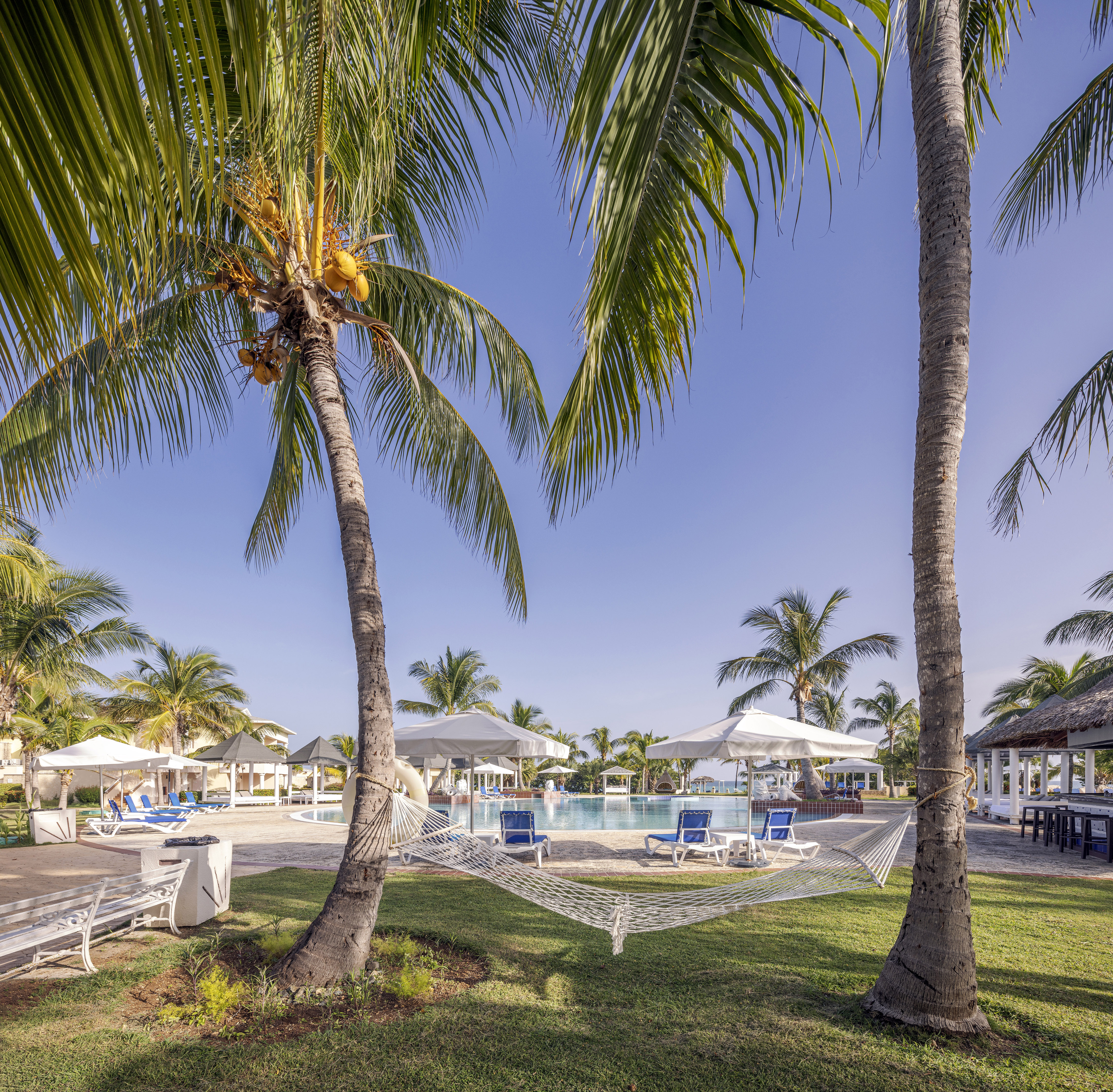 a pool with palm trees and a hammock