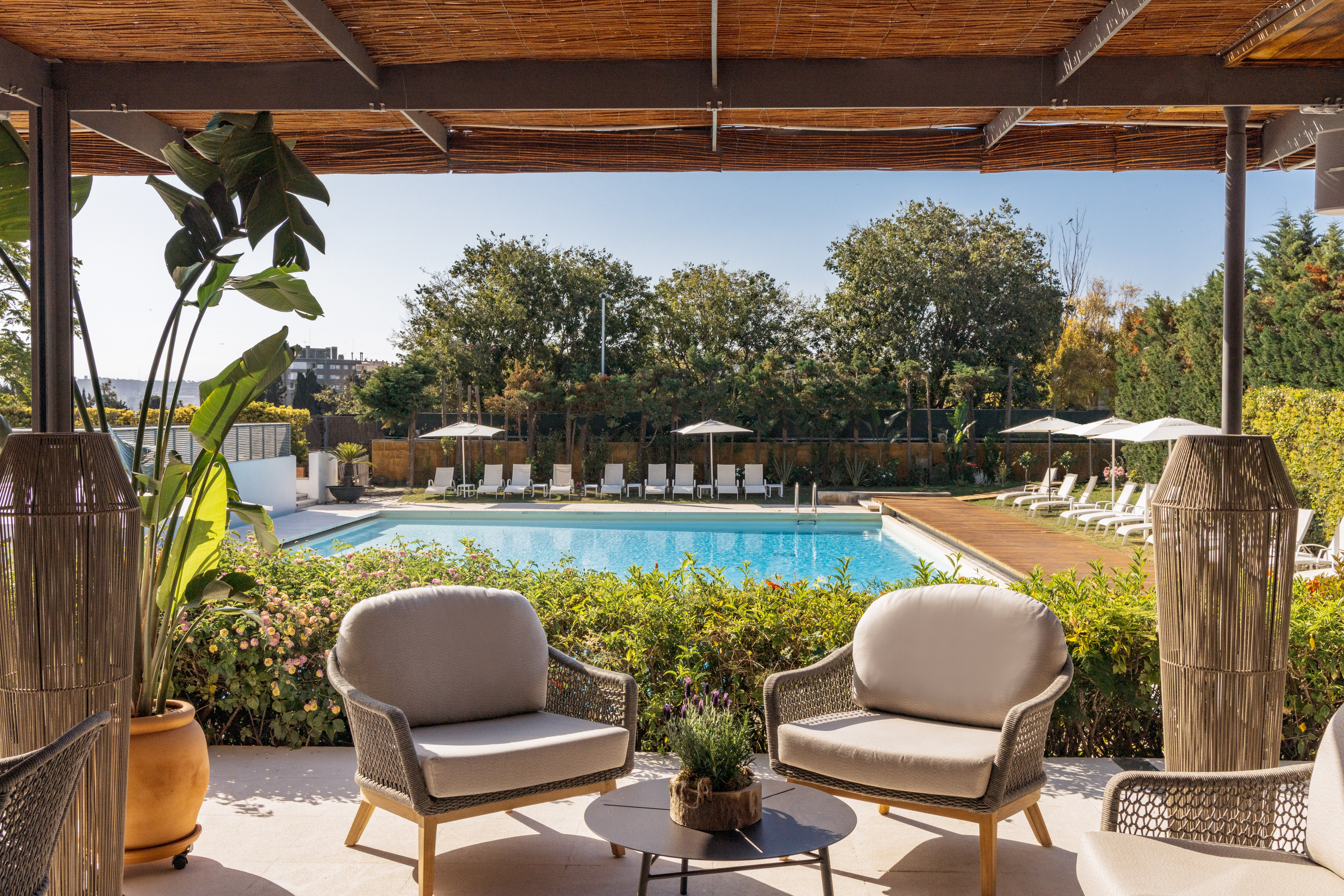 Piscina exterior de hotel, terraza con sillones, tumbonas y jardín.