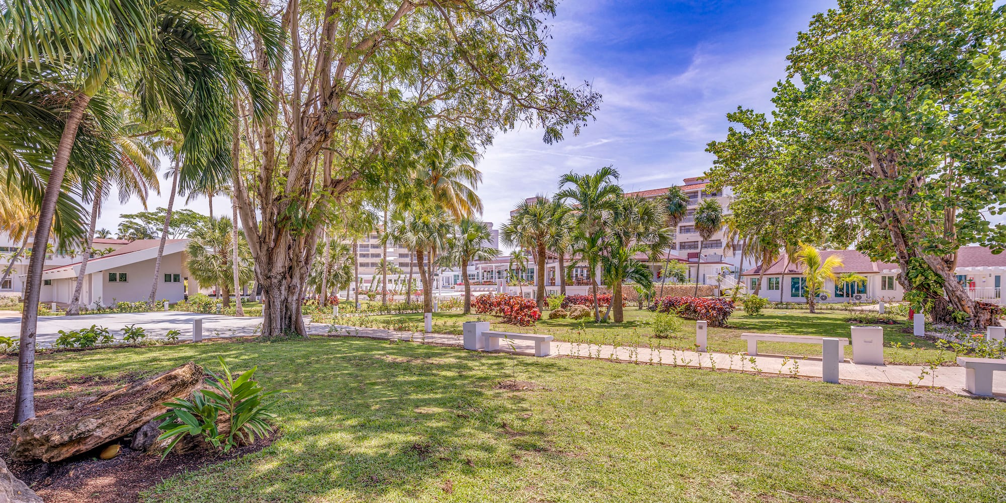a park with trees and flowers