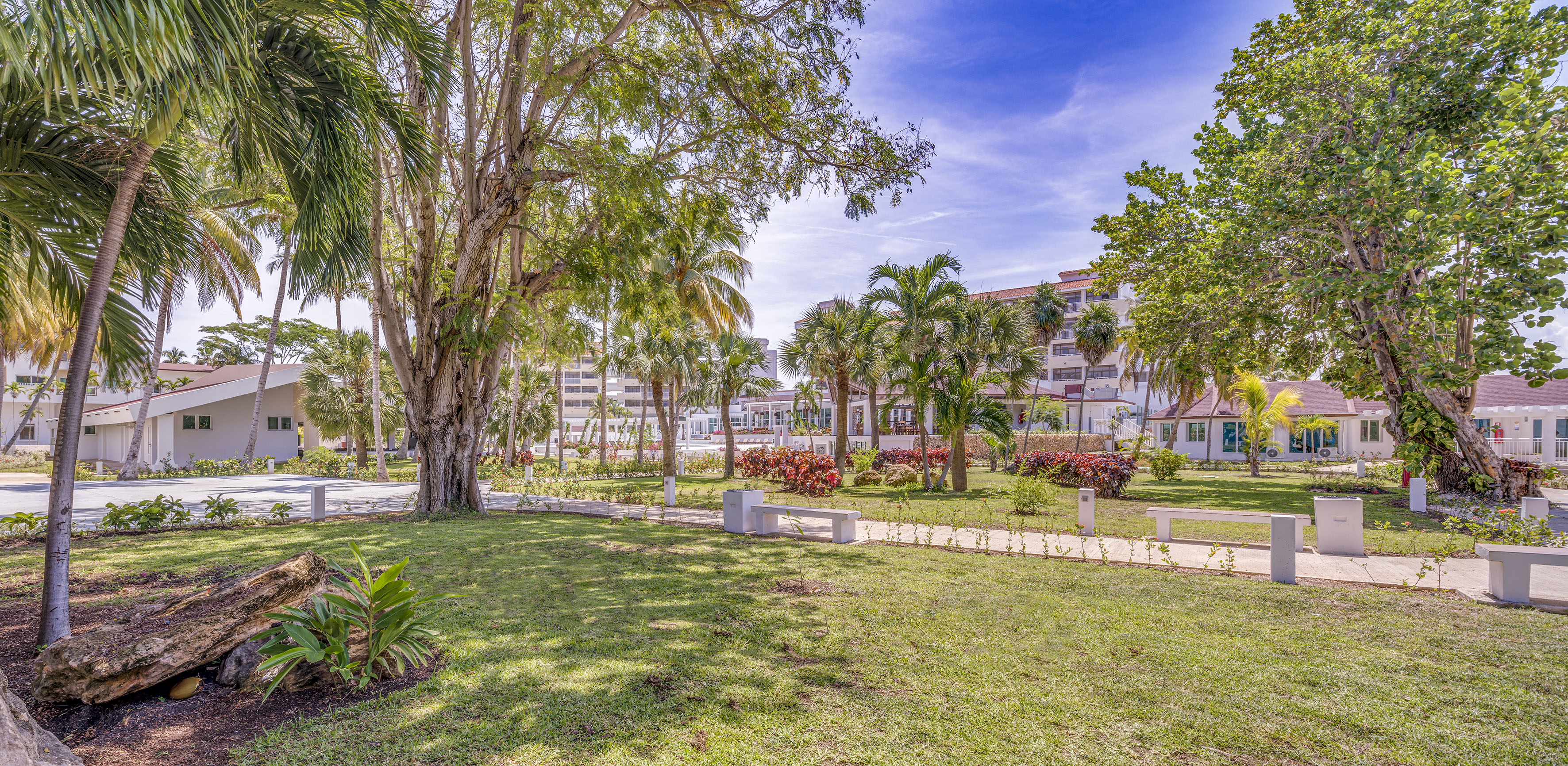 a park with trees and flowers