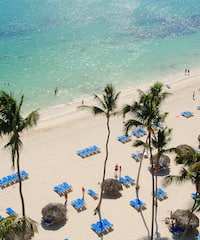 a beach with palm trees and umbrellas