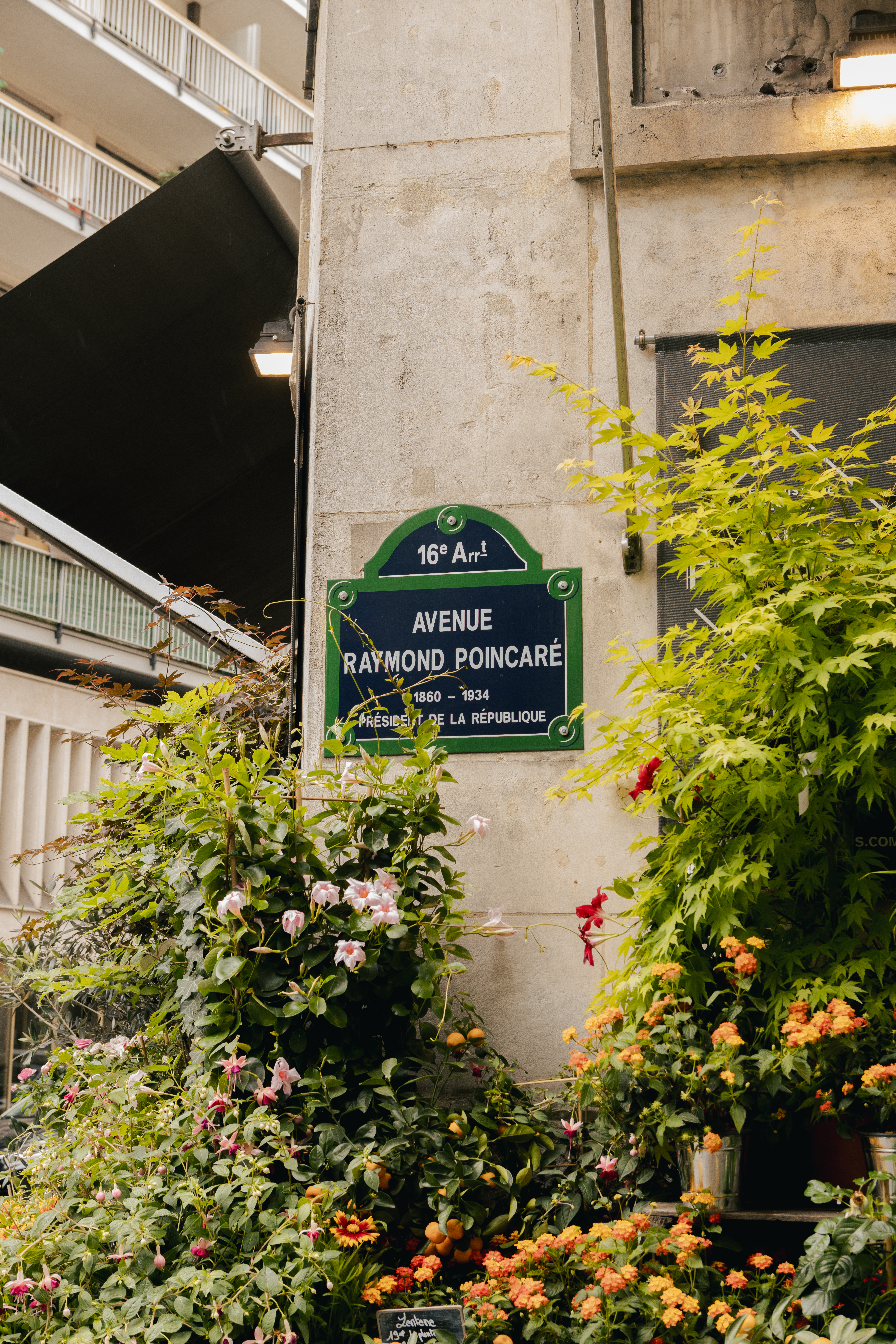 a sign on a wall with plants and flowers