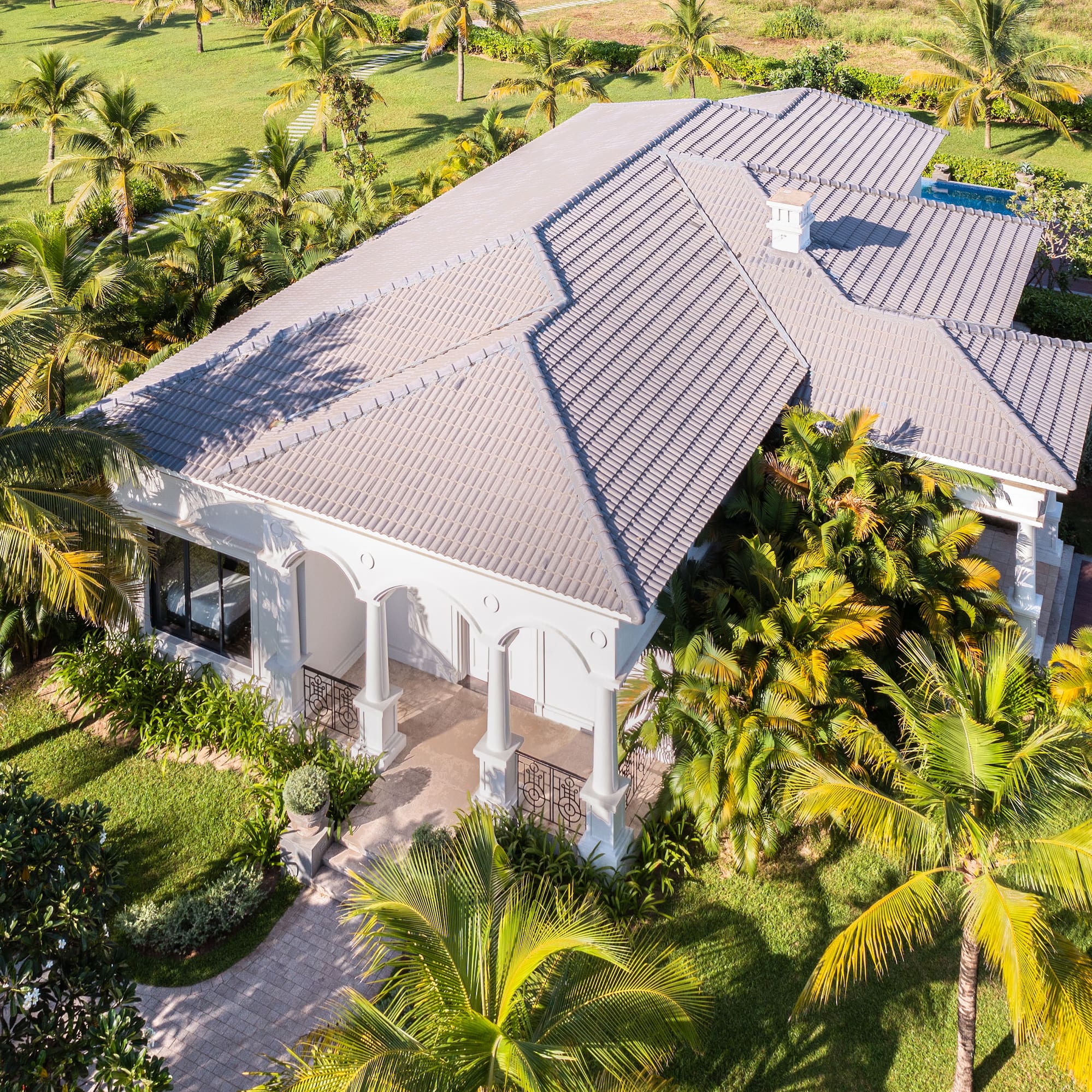 a house with palm trees and grass