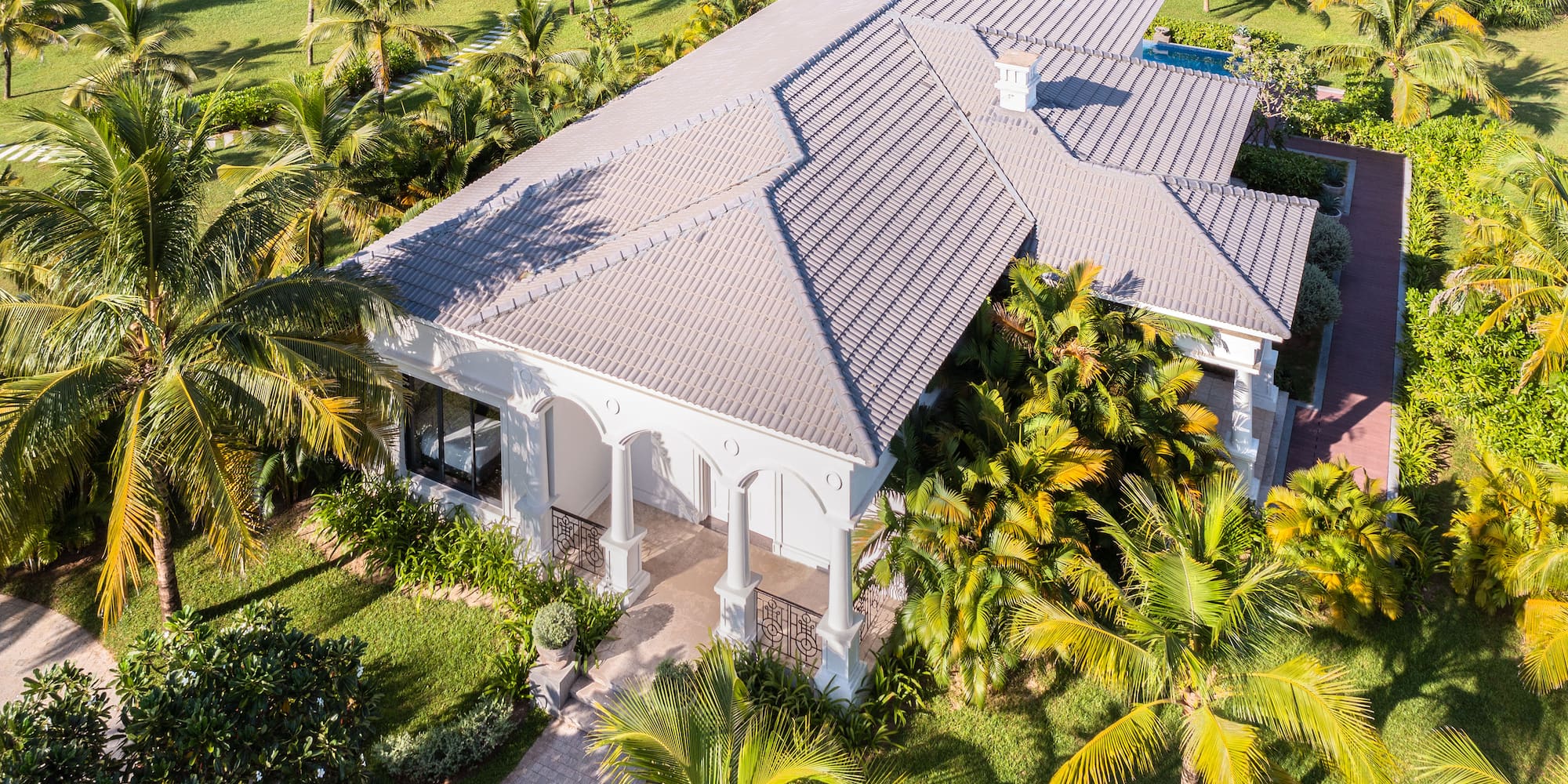 a house with palm trees and grass
