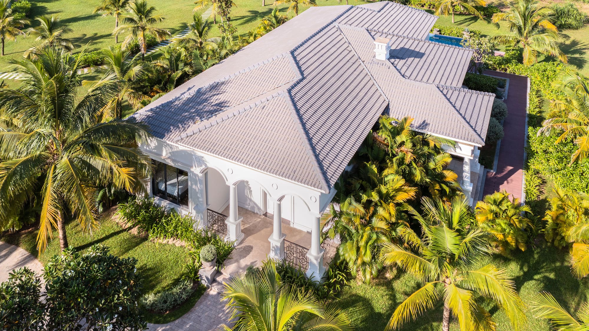a house with palm trees and grass