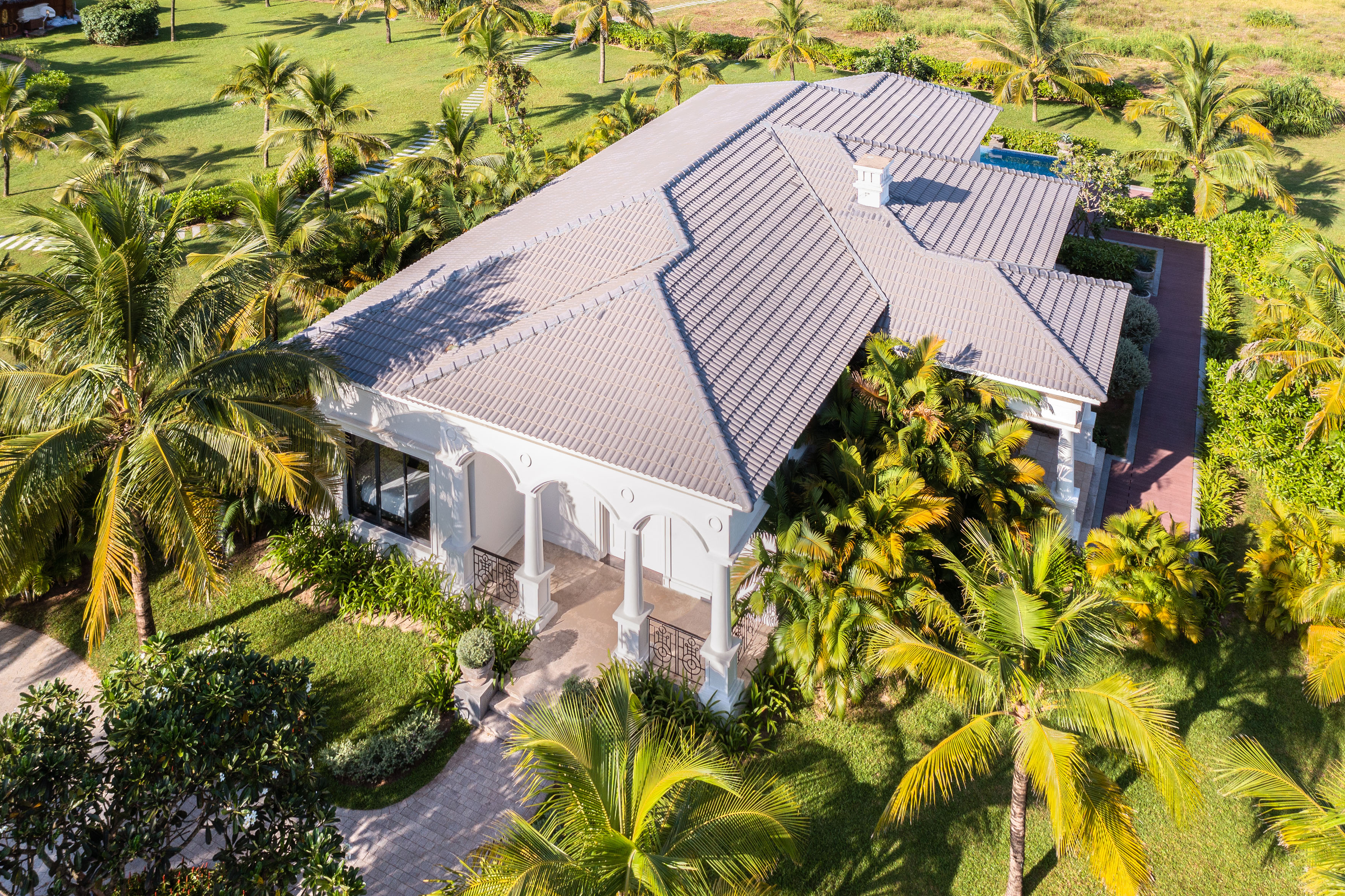 a house with palm trees and grass