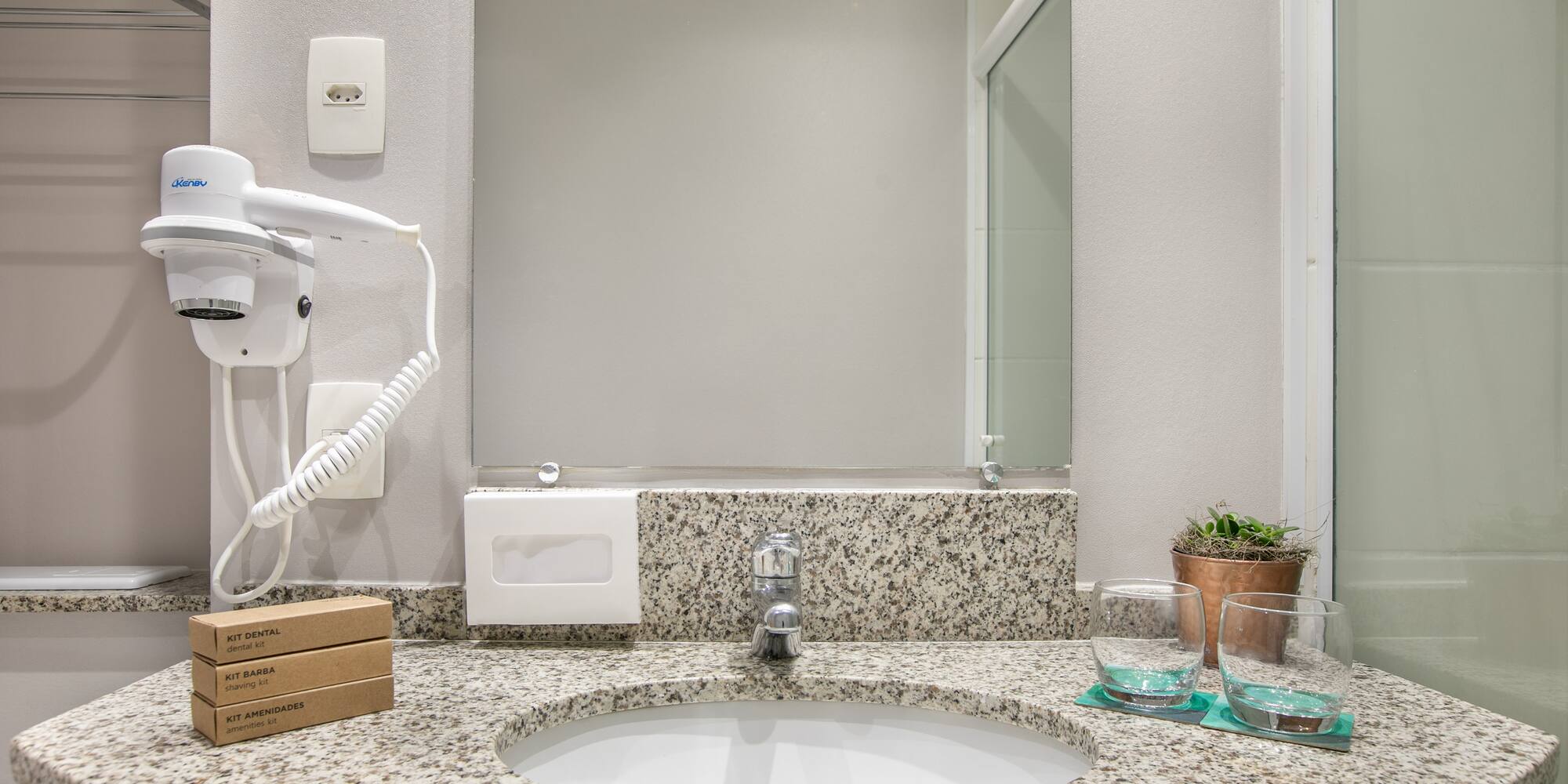 a sink with a mirror and a plant