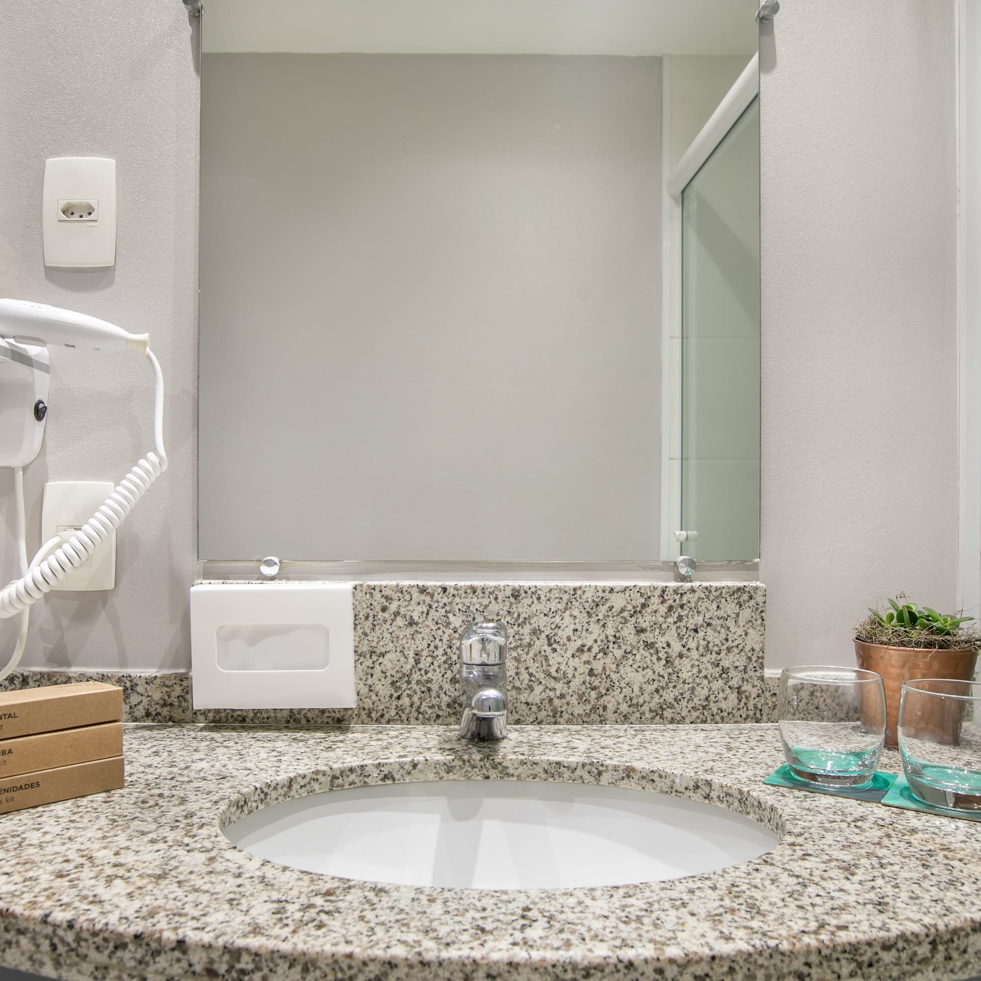 a sink with a mirror and a plant