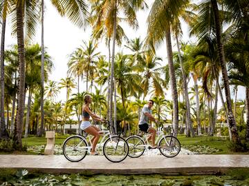 a man and woman riding bicycles under palm trees