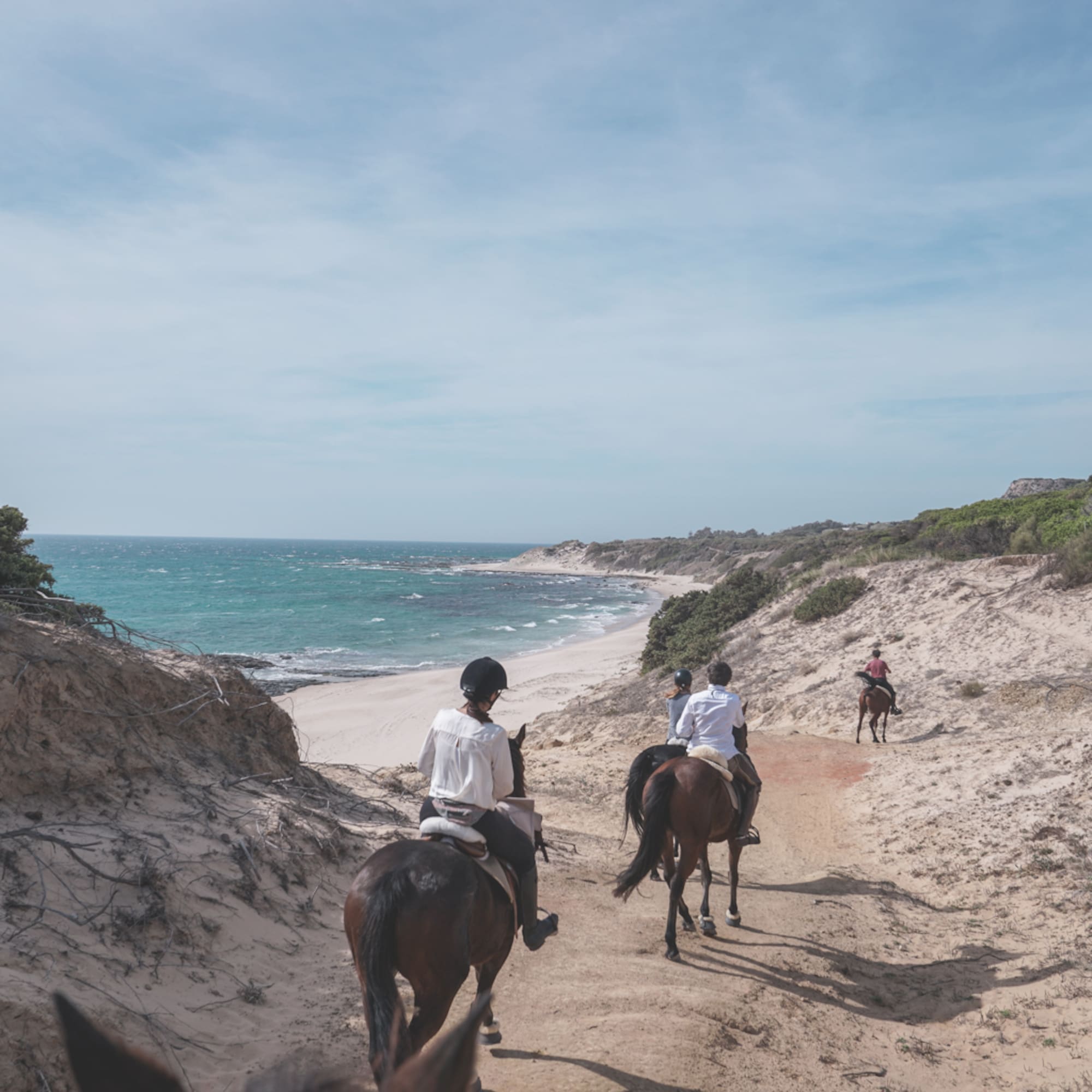 people riding horses on a beach