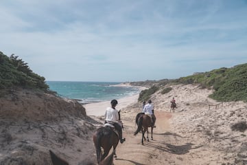 people riding horses on a beach