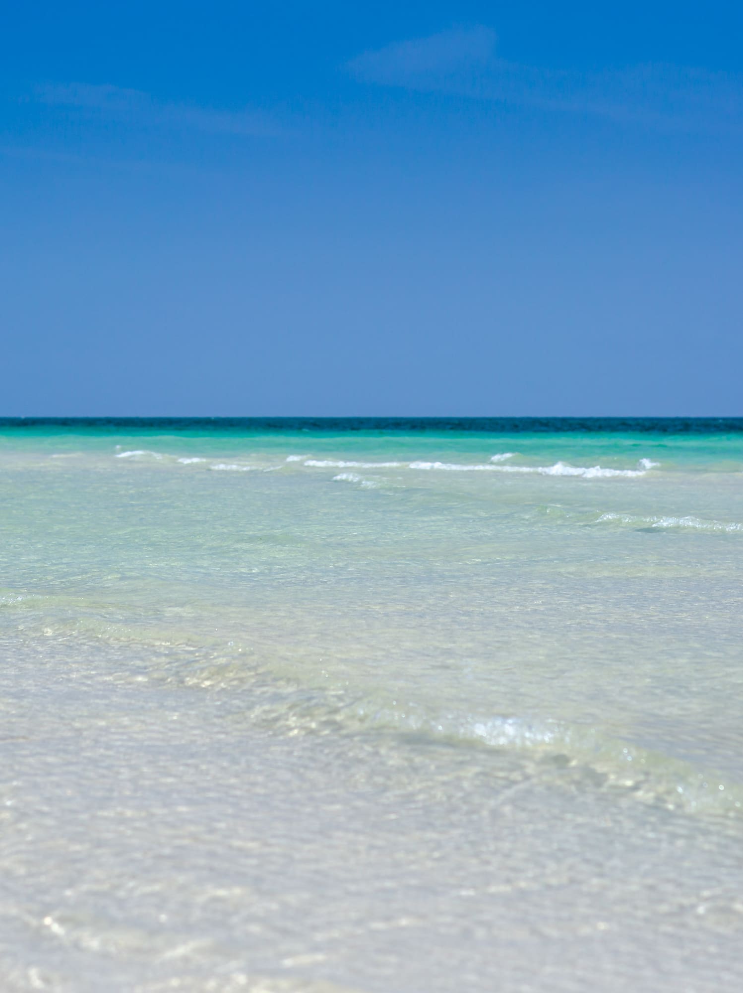 a beach with waves on the water