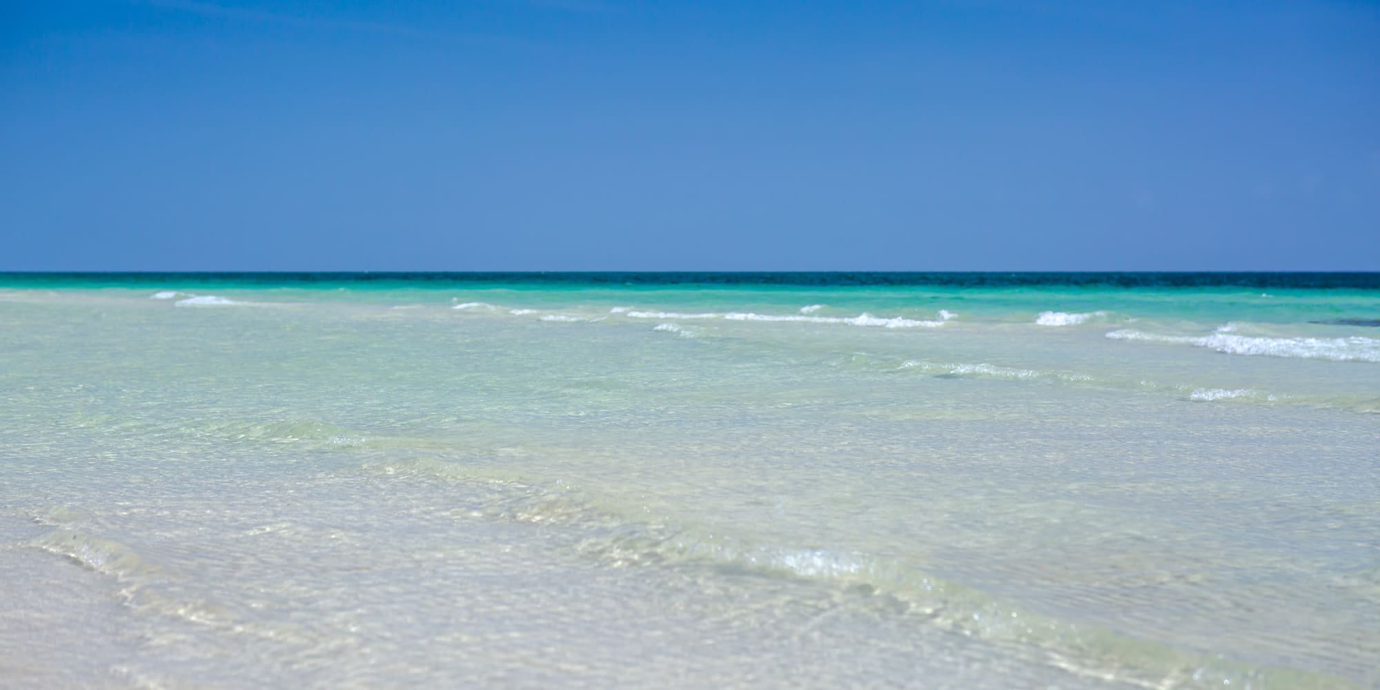a beach with waves on the water