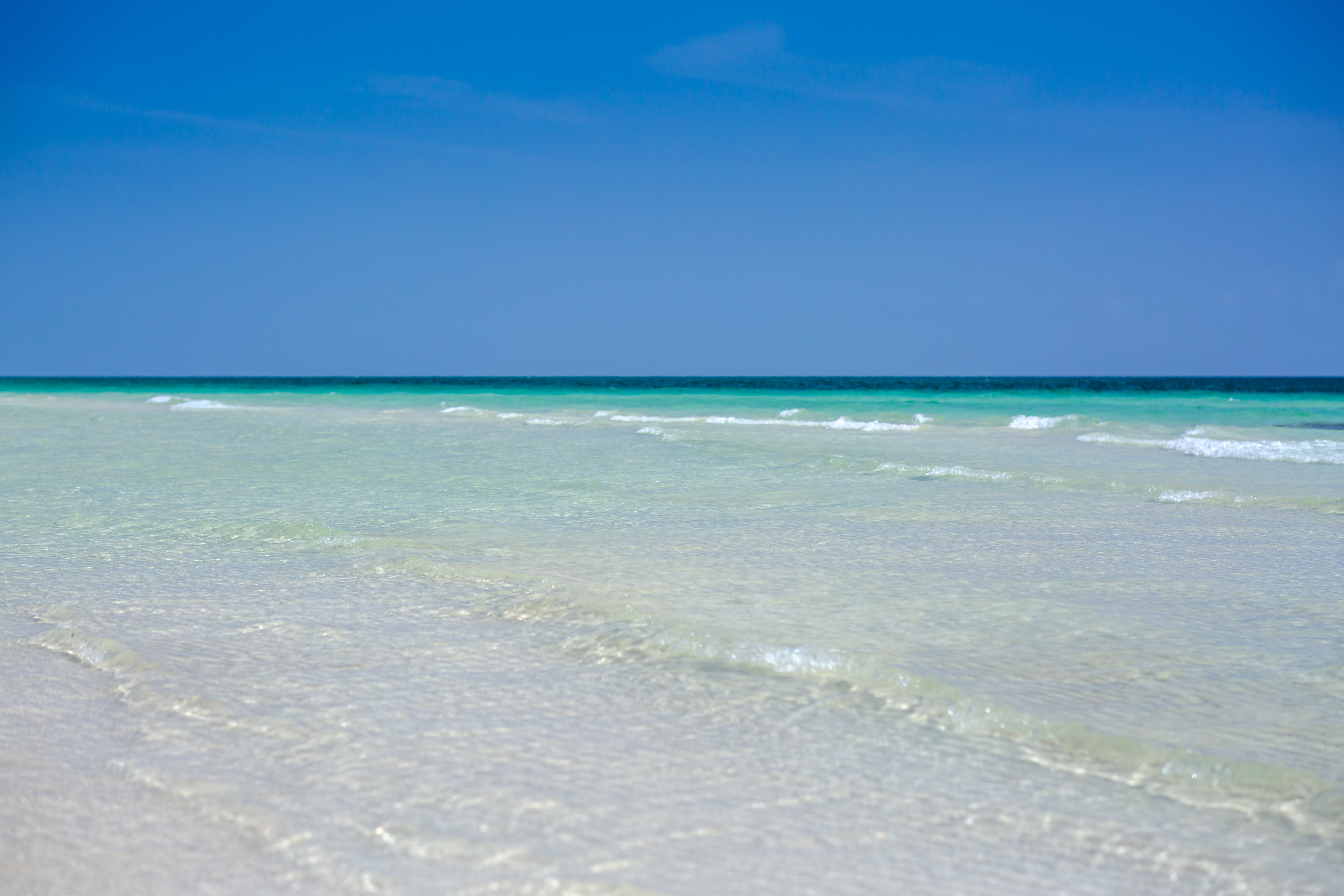a beach with waves on the water