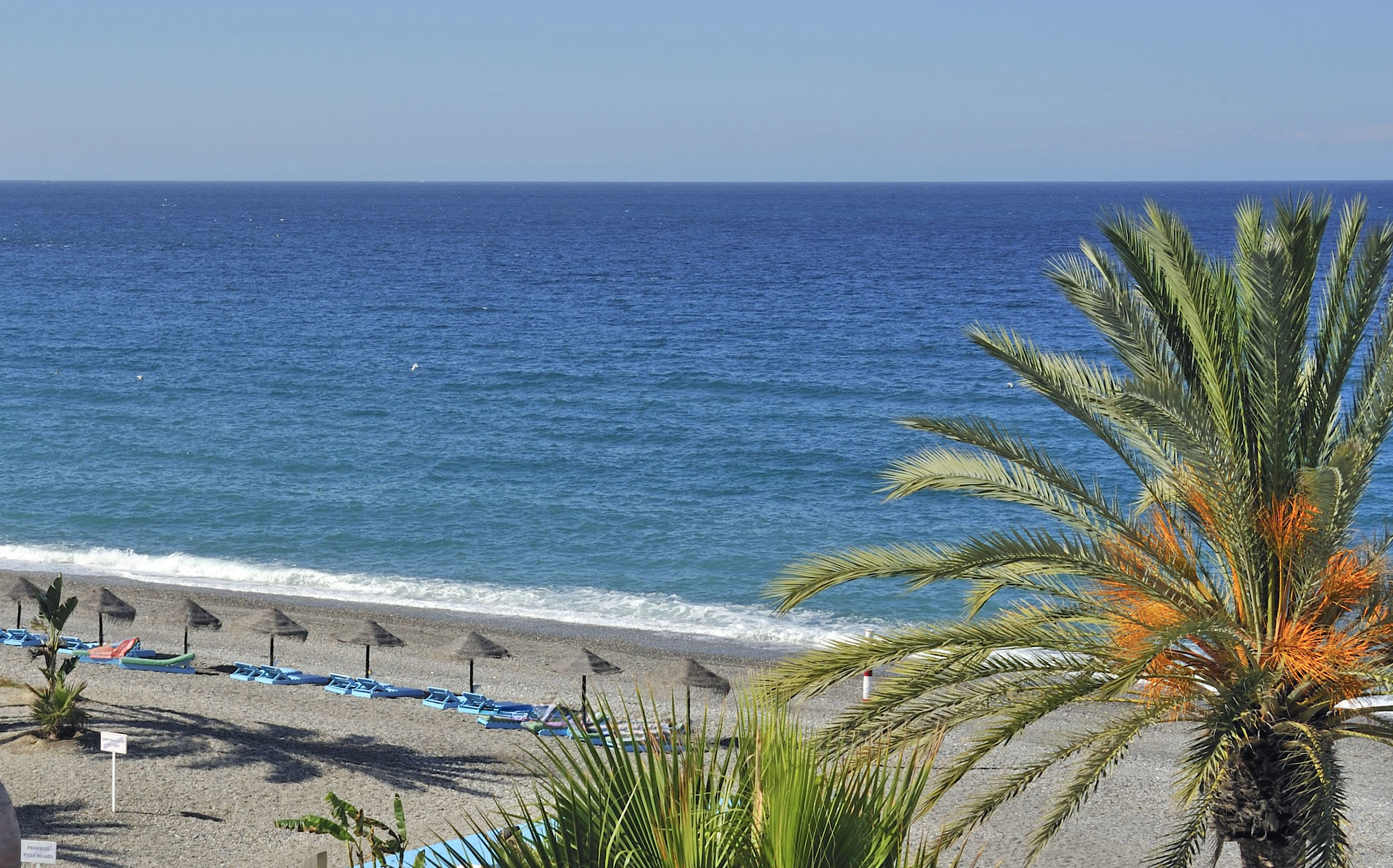 Pebble beach with blue ocean, palm trees, sun loungers, and thatched umbrellas.