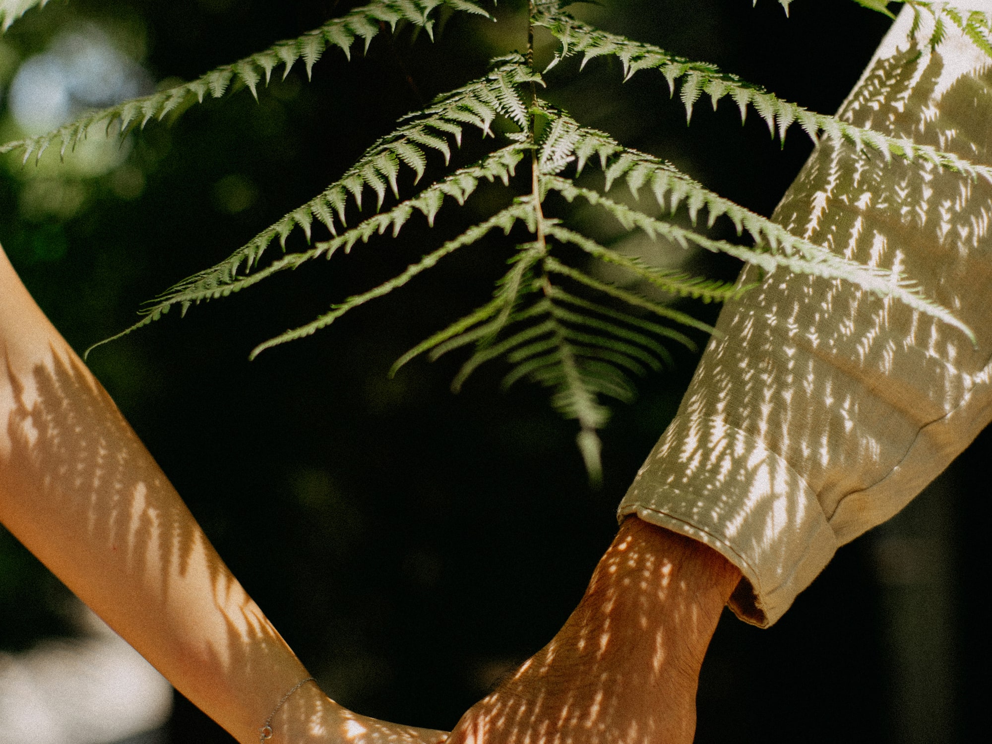 a close up of a hand holding a person's hand