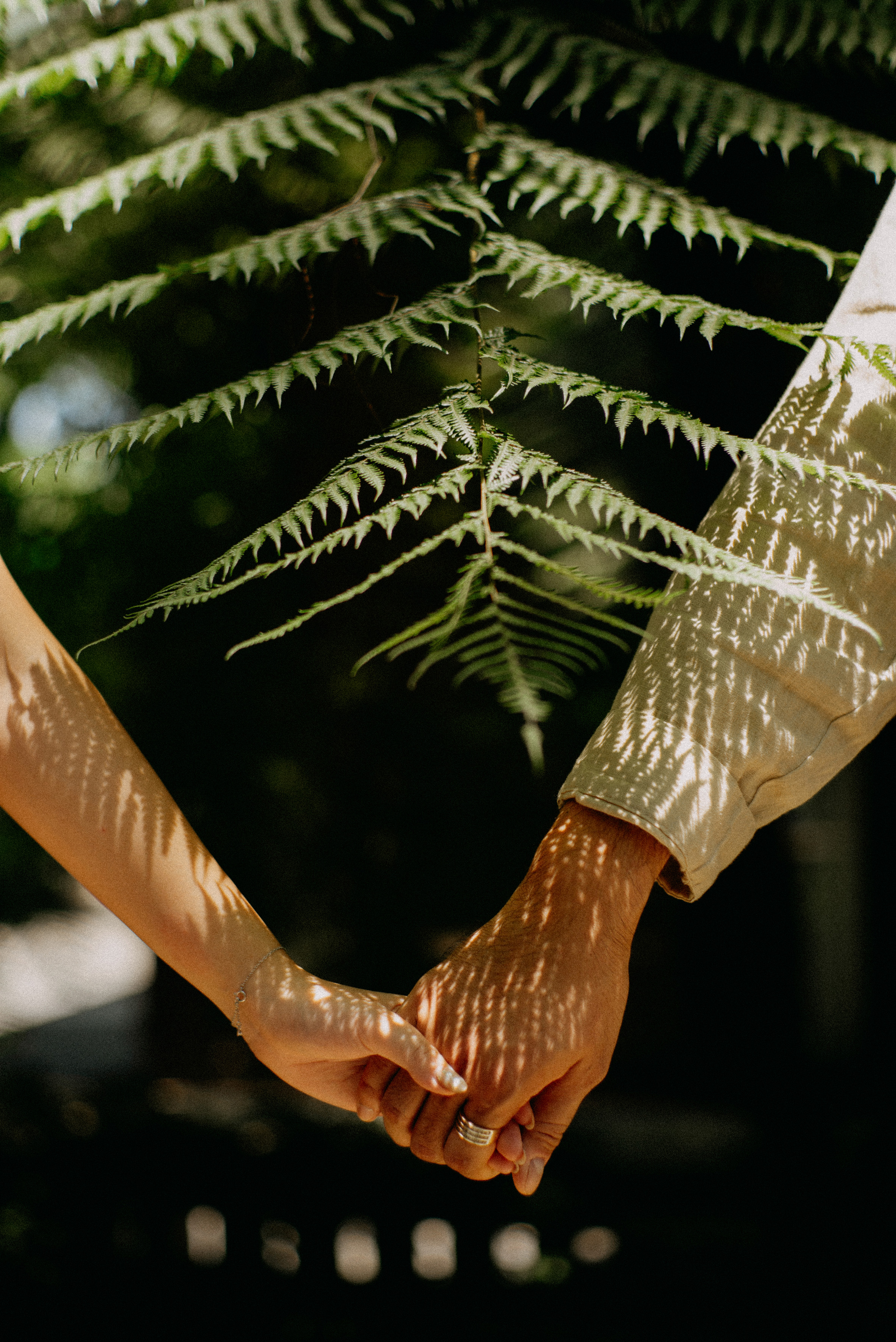 Hands of a couple holding, fern leaves casting dappled shadows in nature.