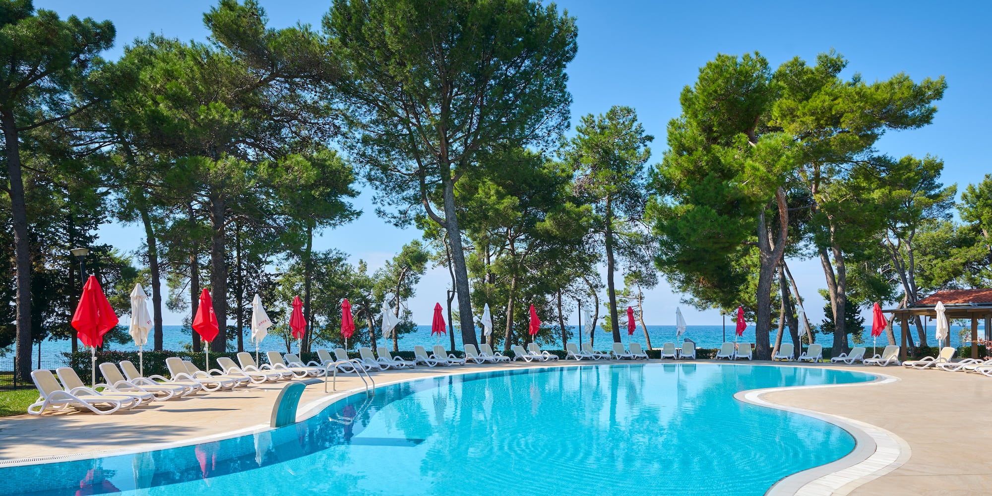 a pool with chairs and umbrellas by the water