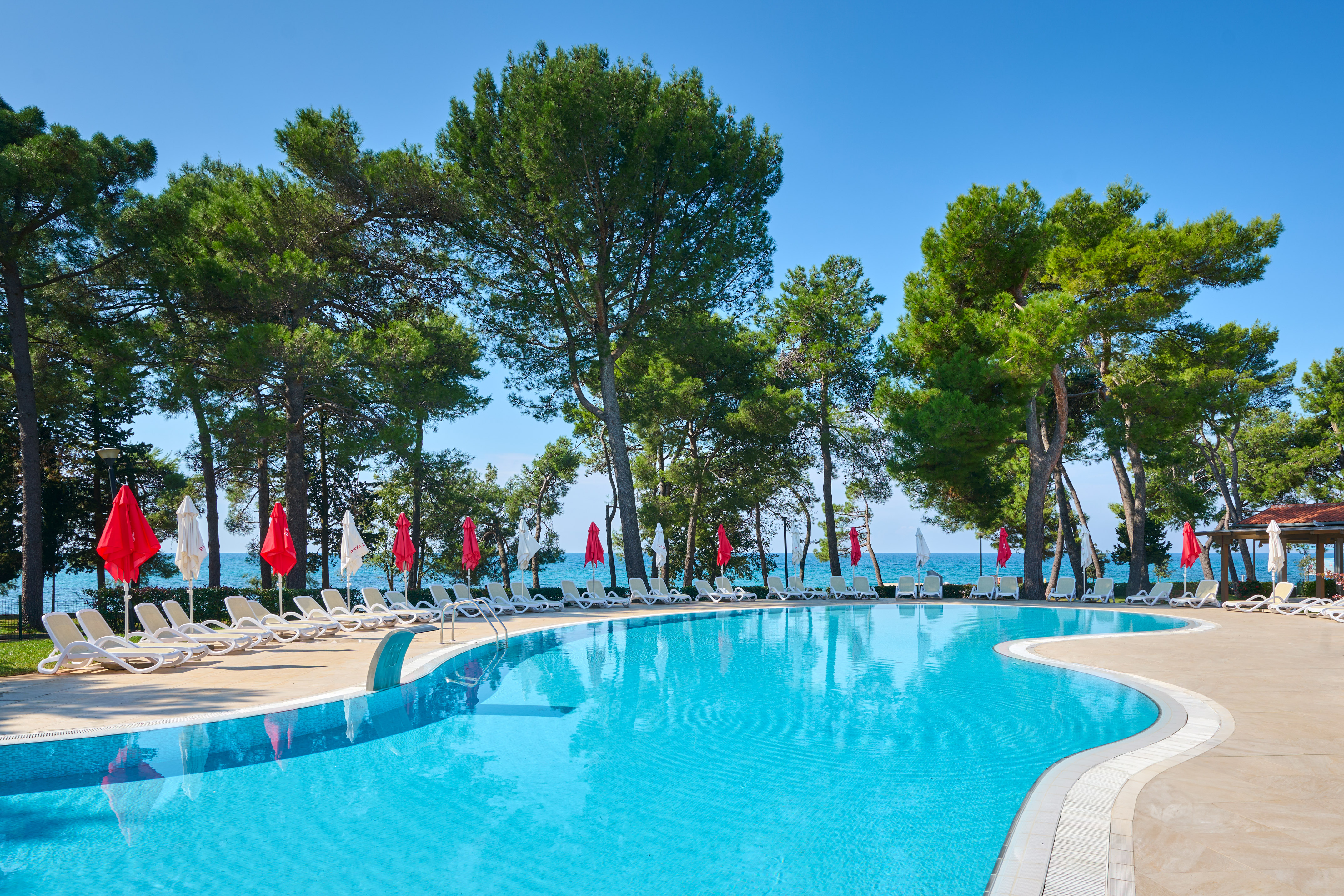 a pool with chairs and umbrellas by the water