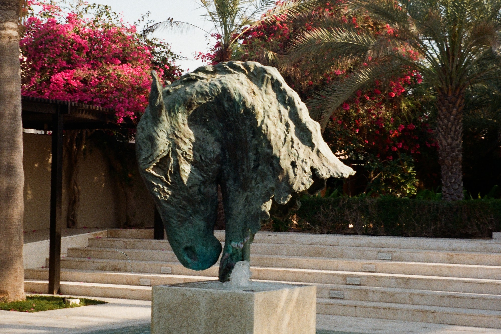 Bronze horse head sculpture fountain in tropical garden with bougainvillea.