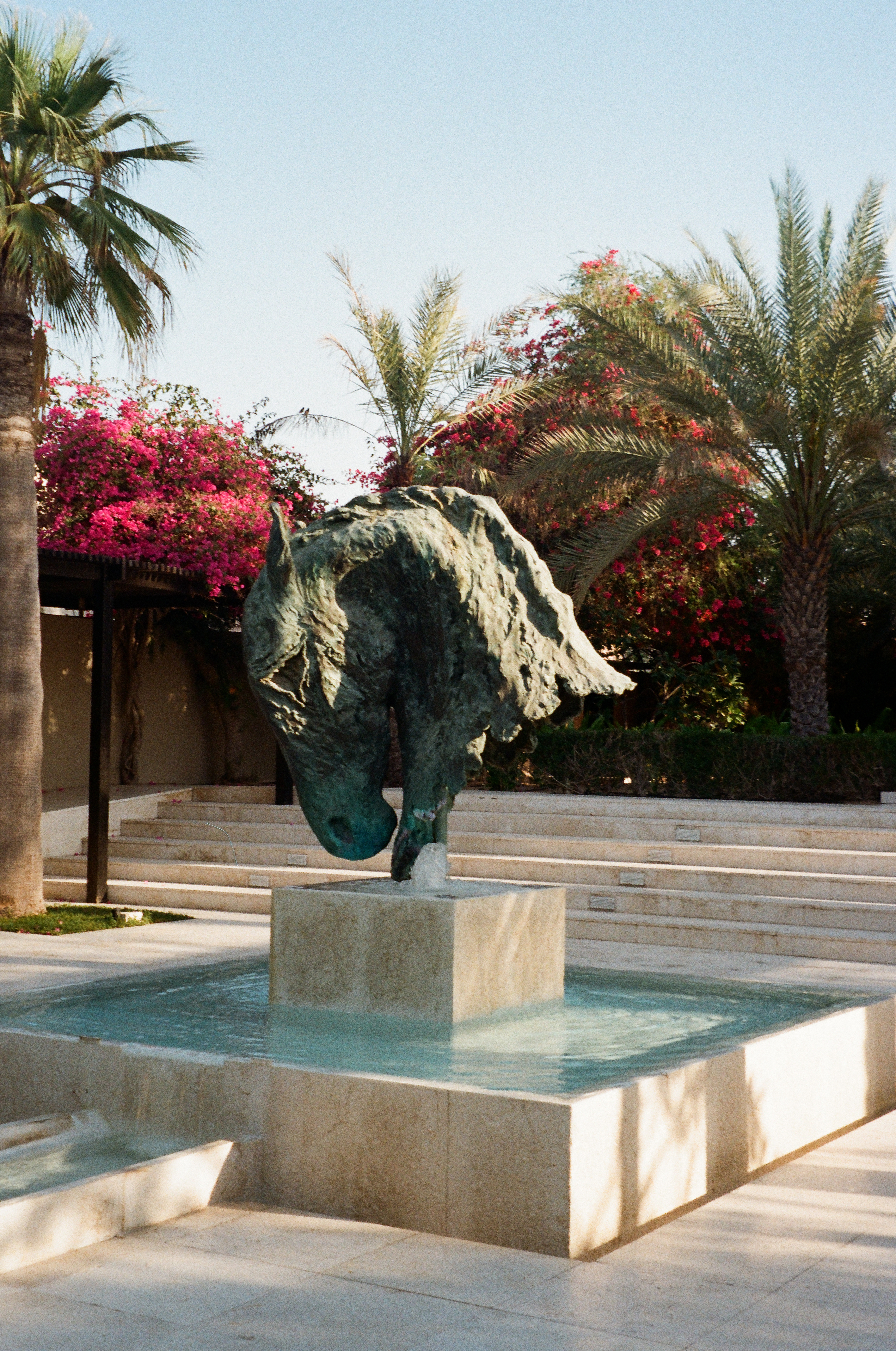 Bronze horse head sculpture fountain in tropical garden with bougainvillea.