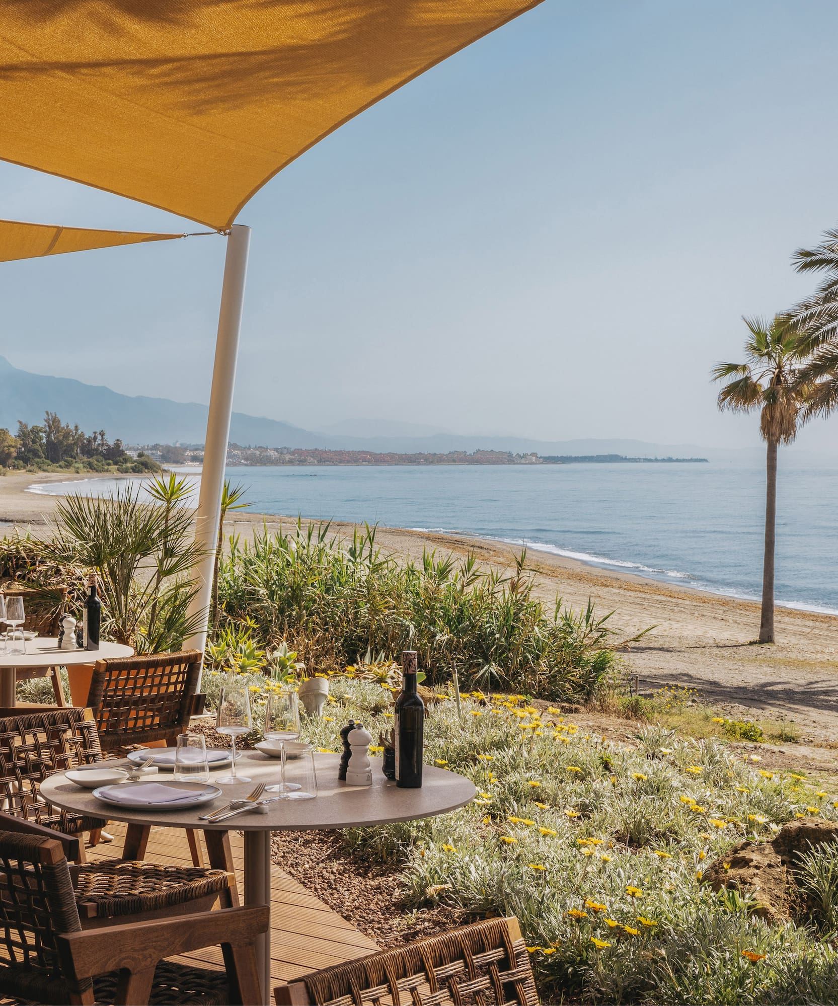 Beachfront restaurant terrace with ocean view, shaded tables, and palm trees.