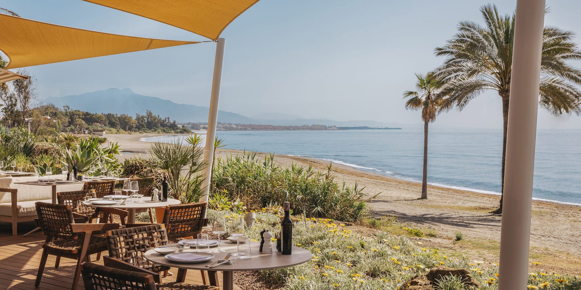 Coastal dining terrace overlooking the ocean, beach, and palm trees.