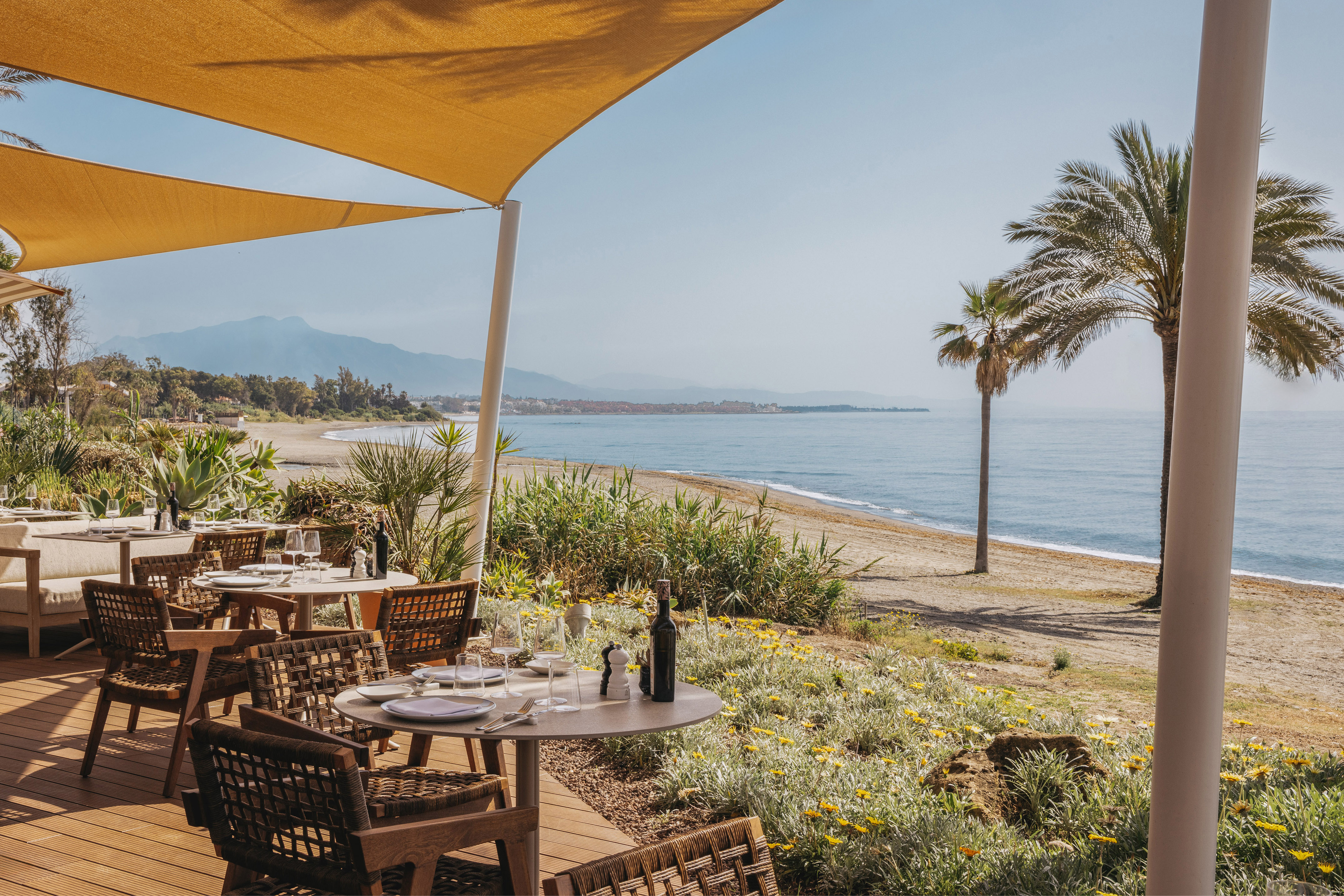 Beachfront restaurant outdoor tables with ocean view, palm trees, and mountains.